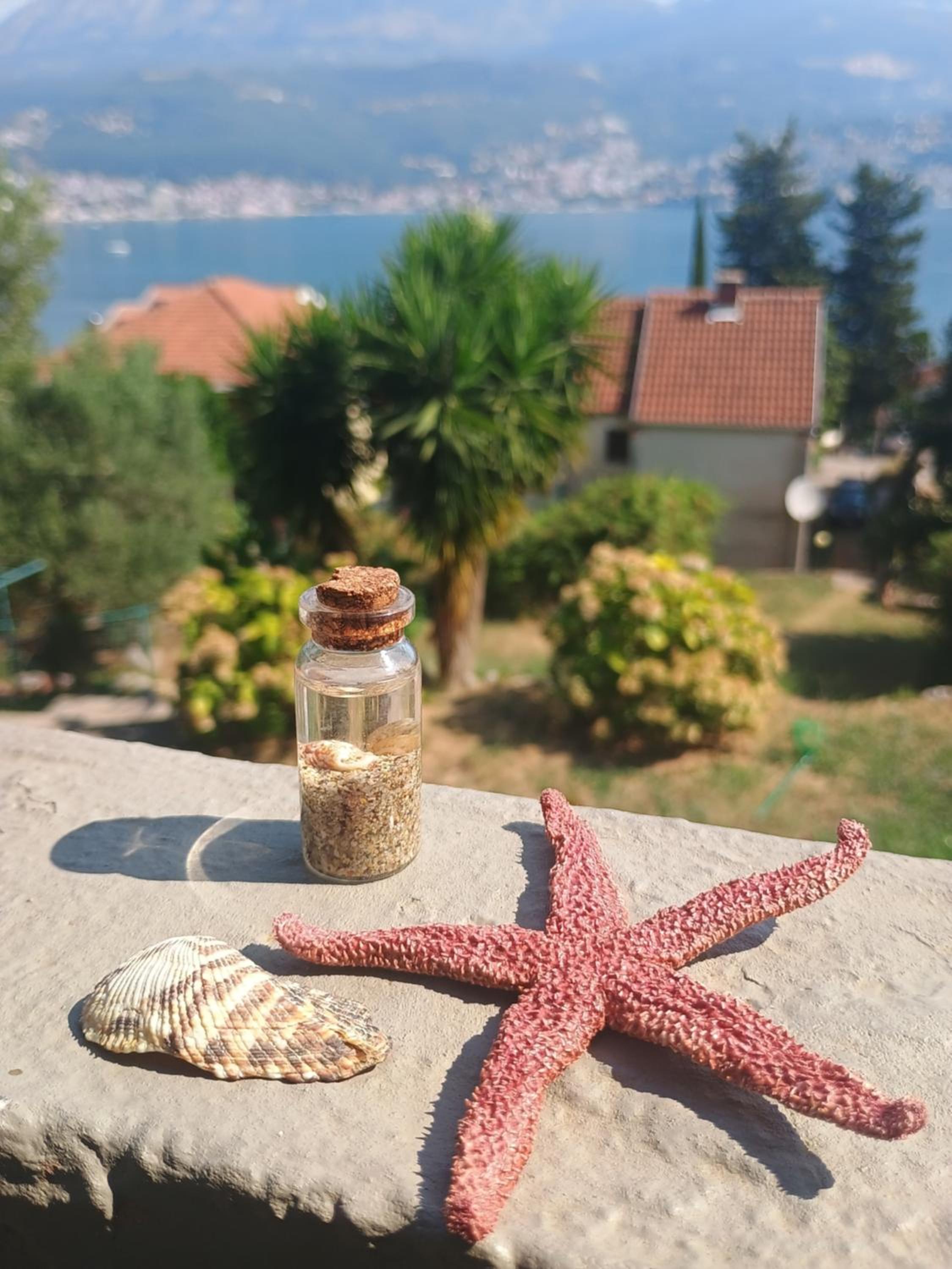 Apartmani Njivice