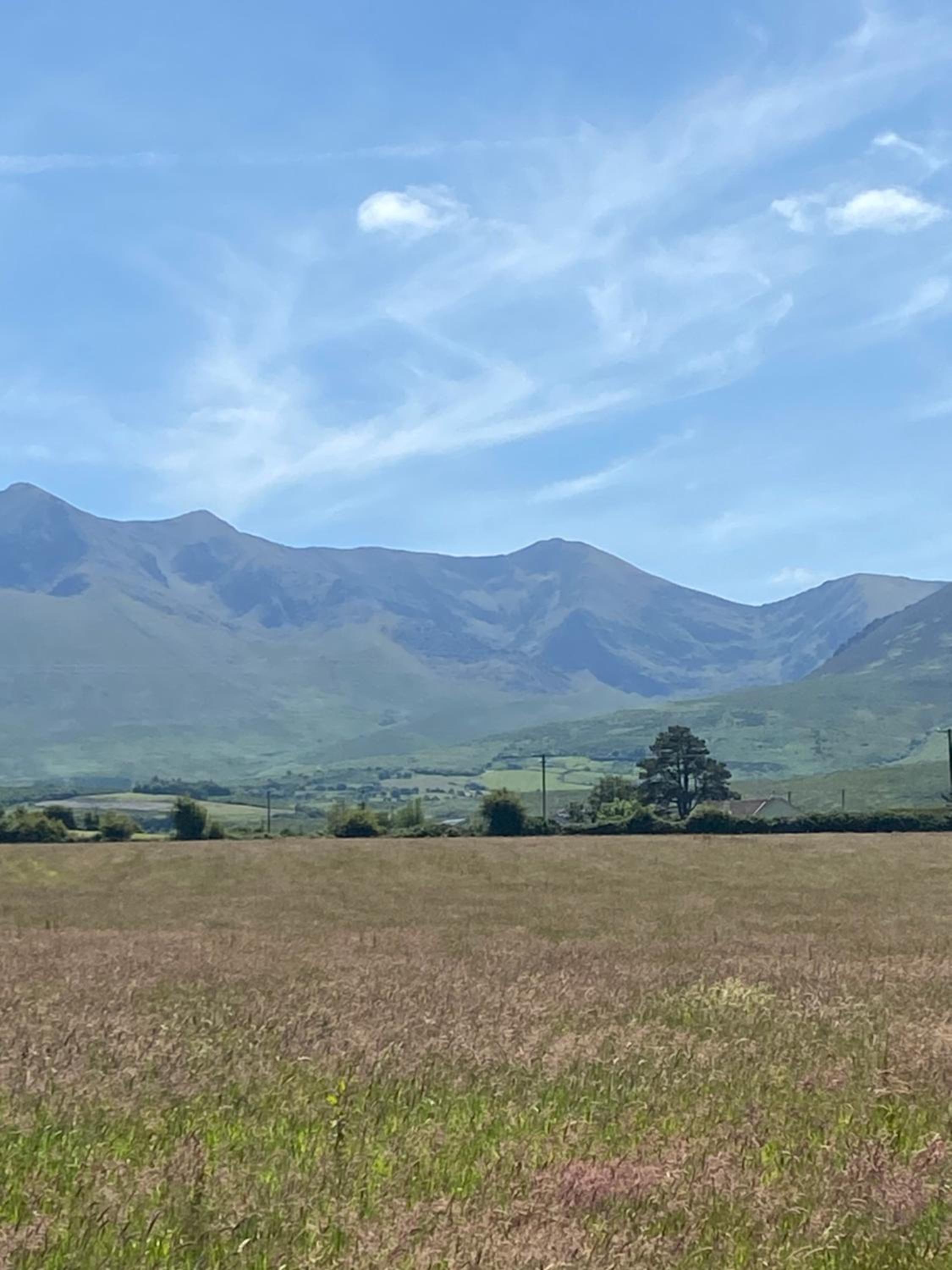 Hayfield View