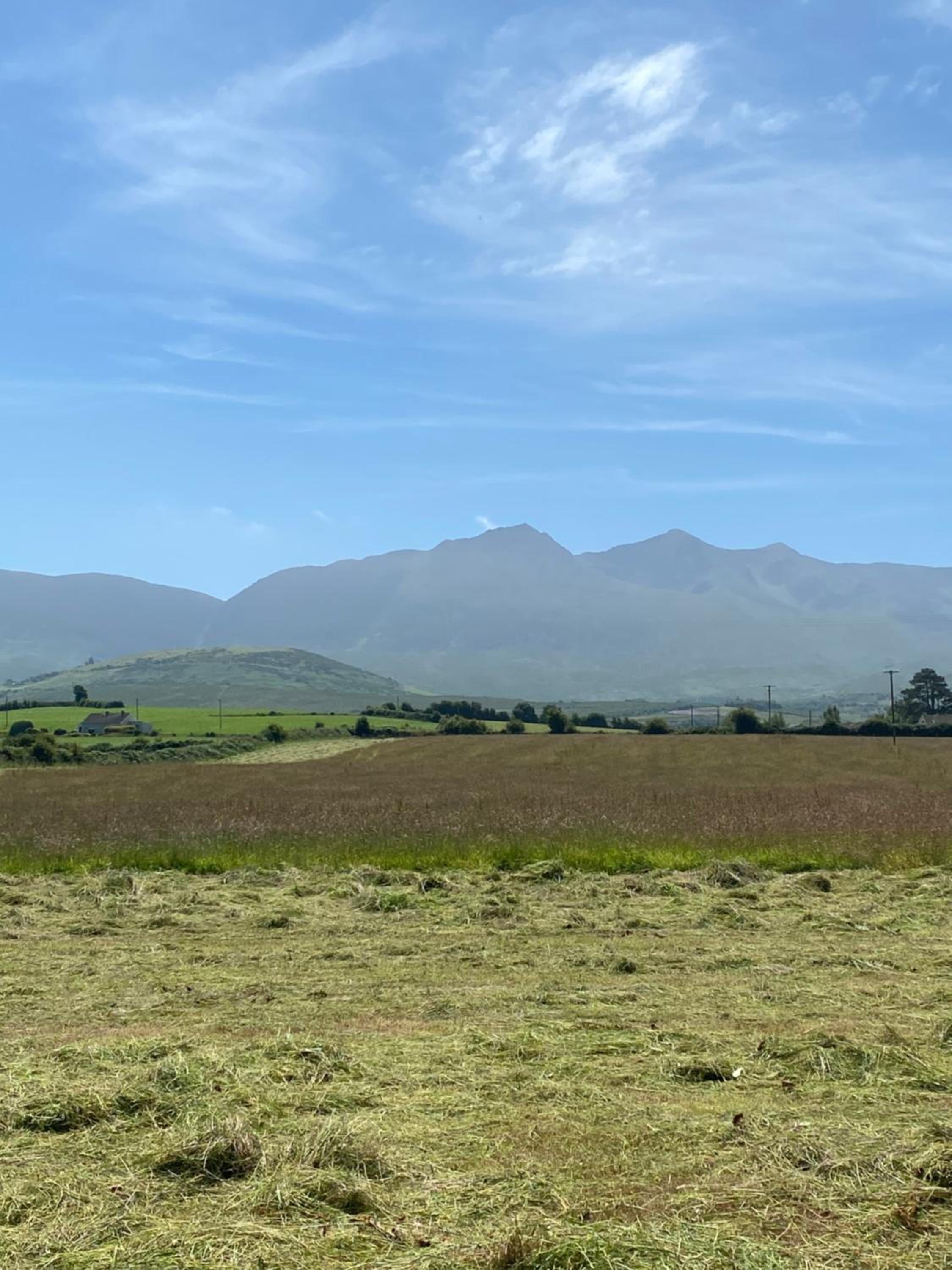 Hayfield View