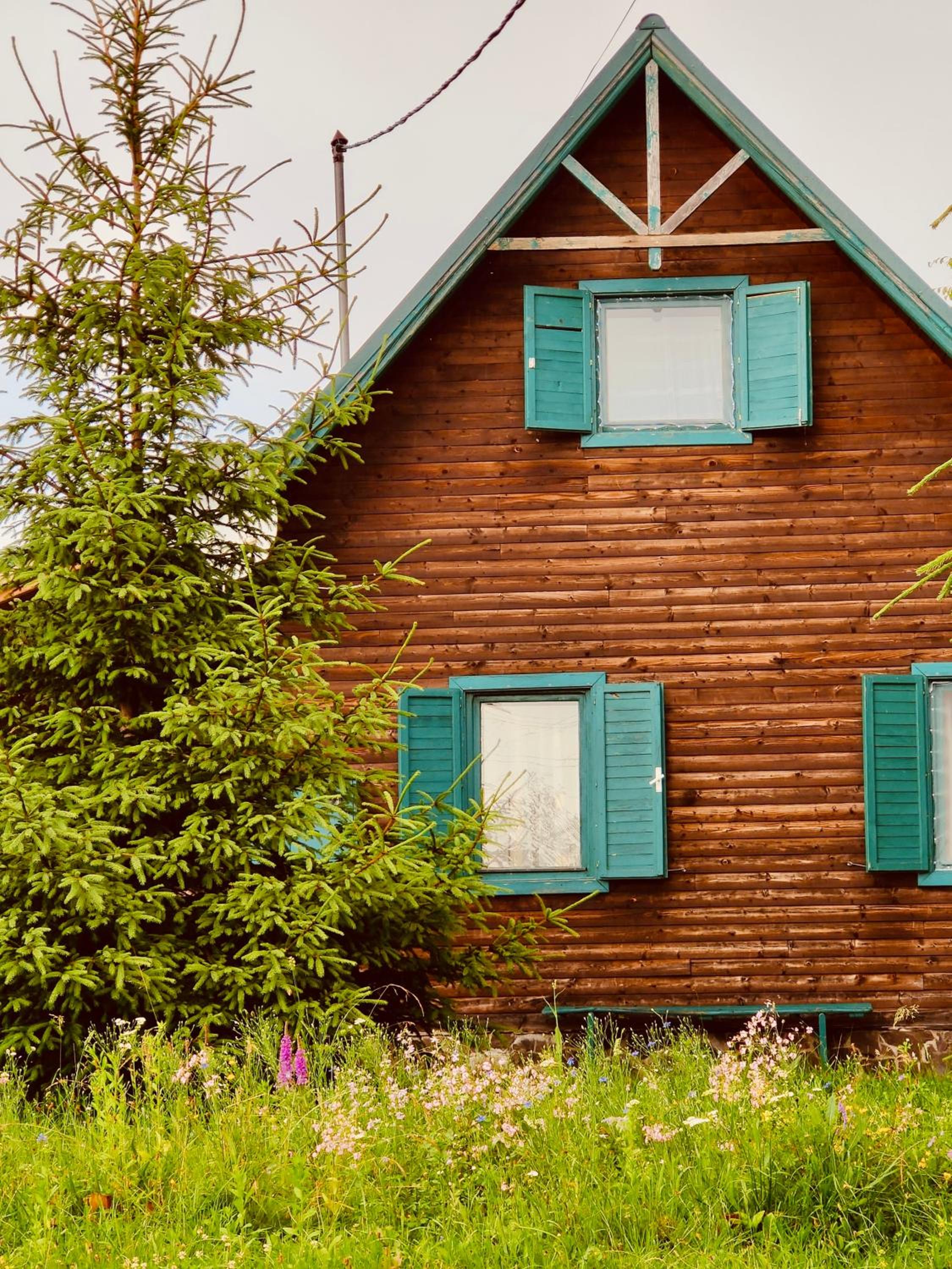 Carpathian cabin - Icelandic horses - Hestur Ivo