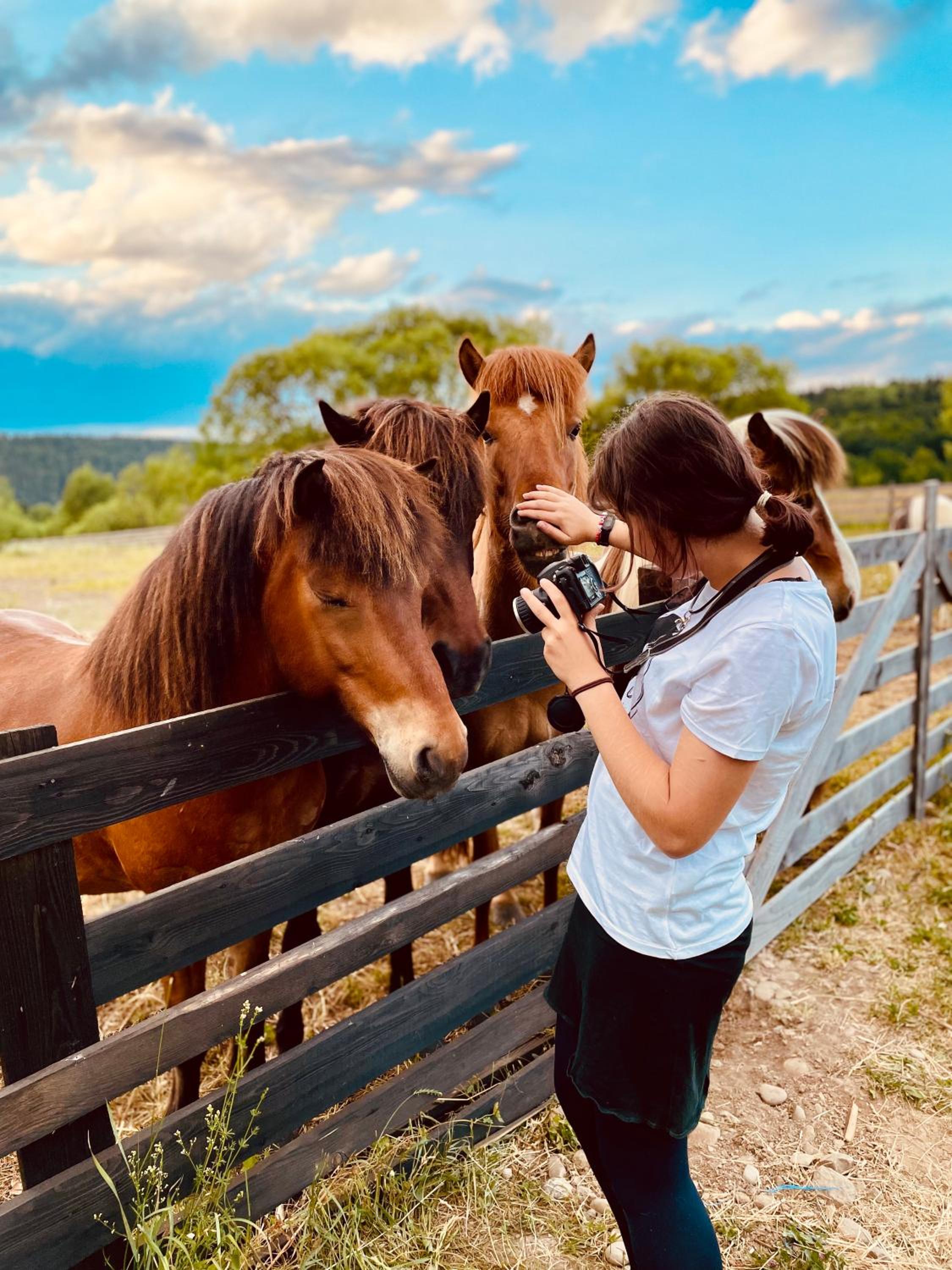 Carpathian cabin - Icelandic horses - Hestur Ivo