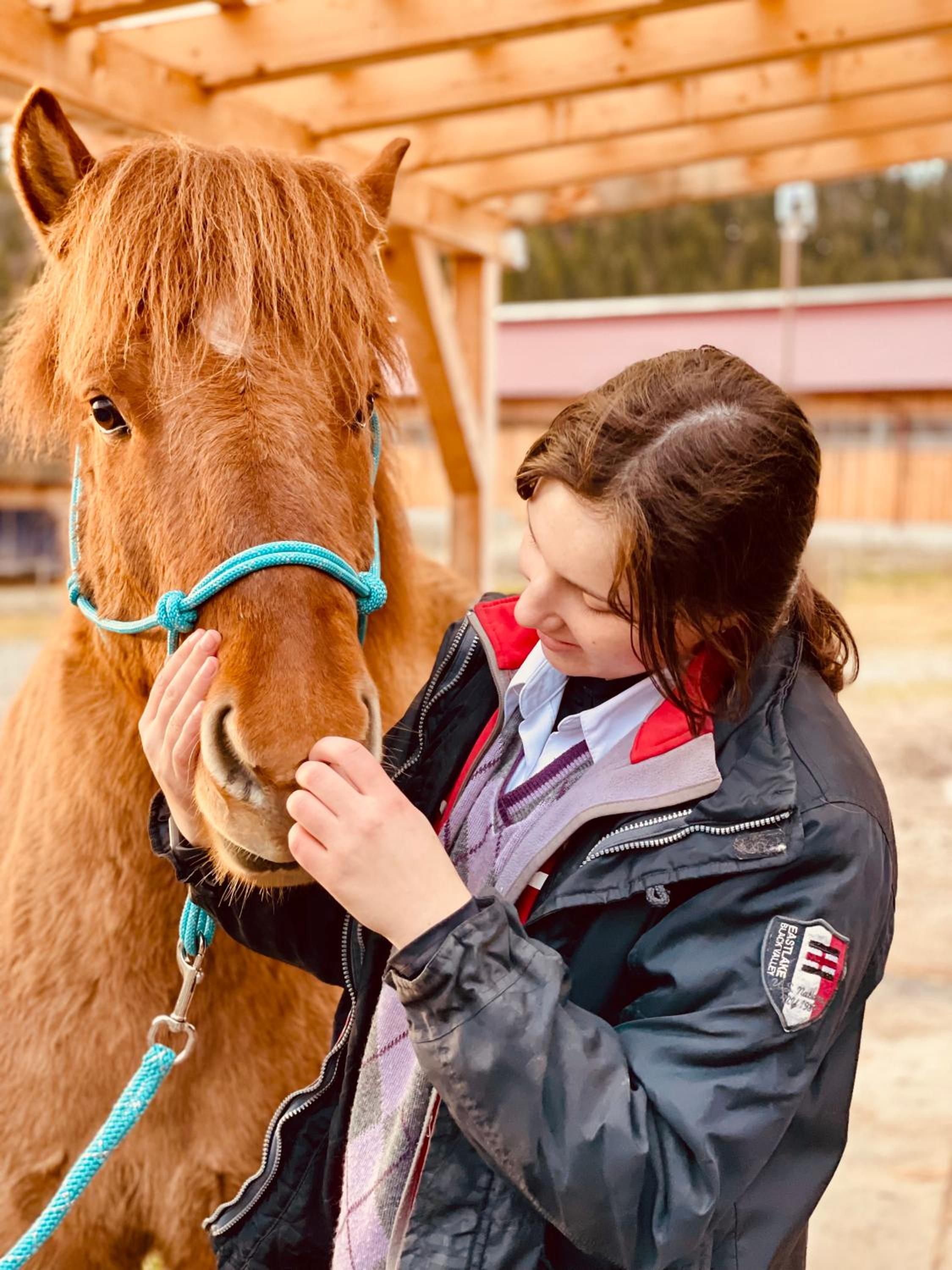 Carpathian cabin - Icelandic horses - Hestur Ivo
