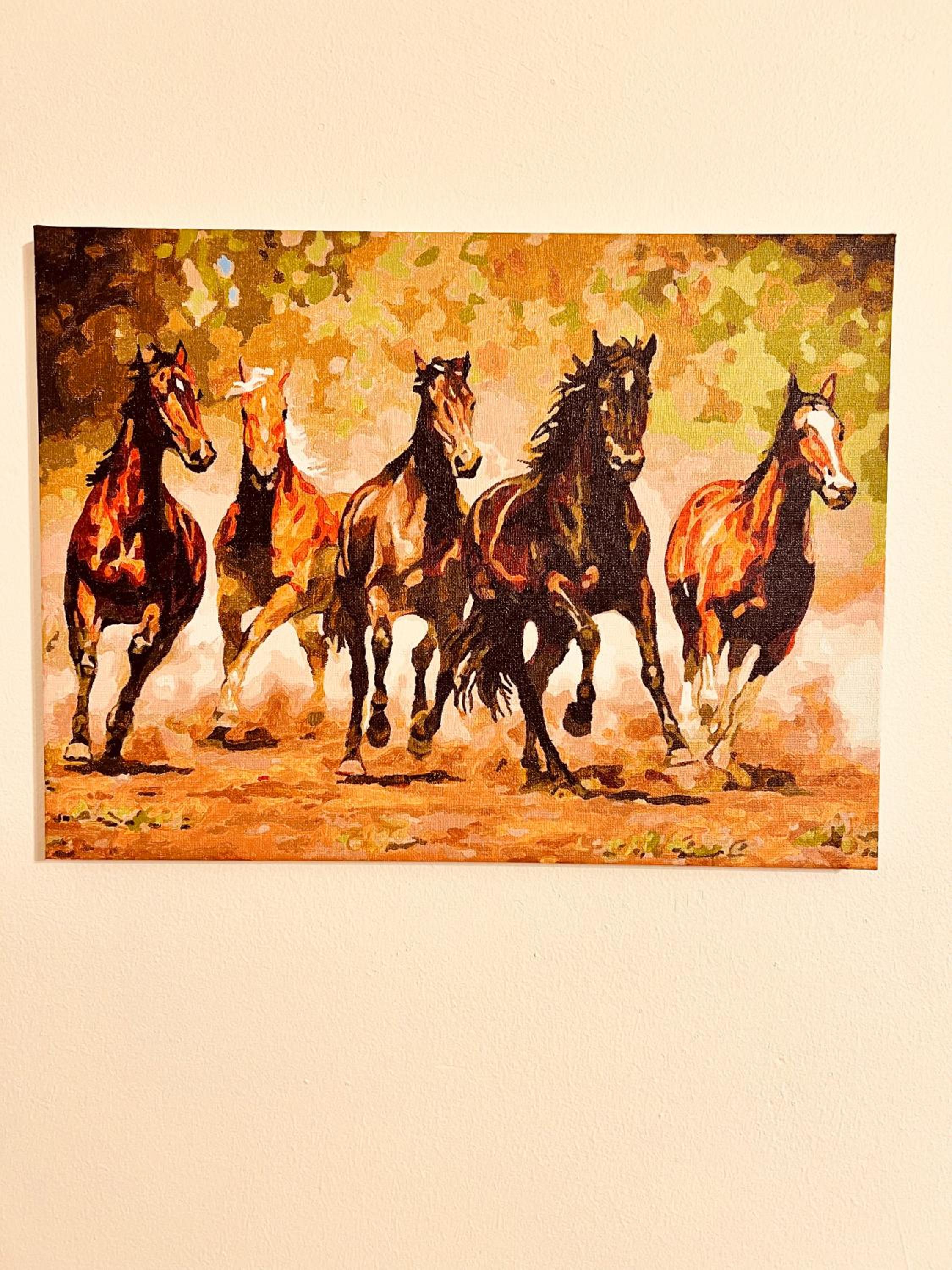 Carpathian cabin - Icelandic horses - Hestur Ivo