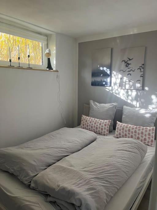 Lejlighed i naturskønne område