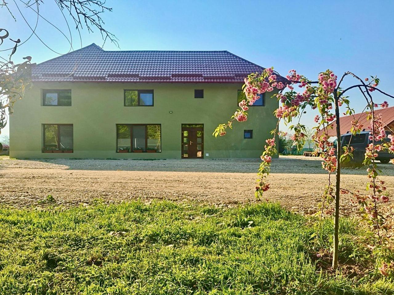 Casa David 13D