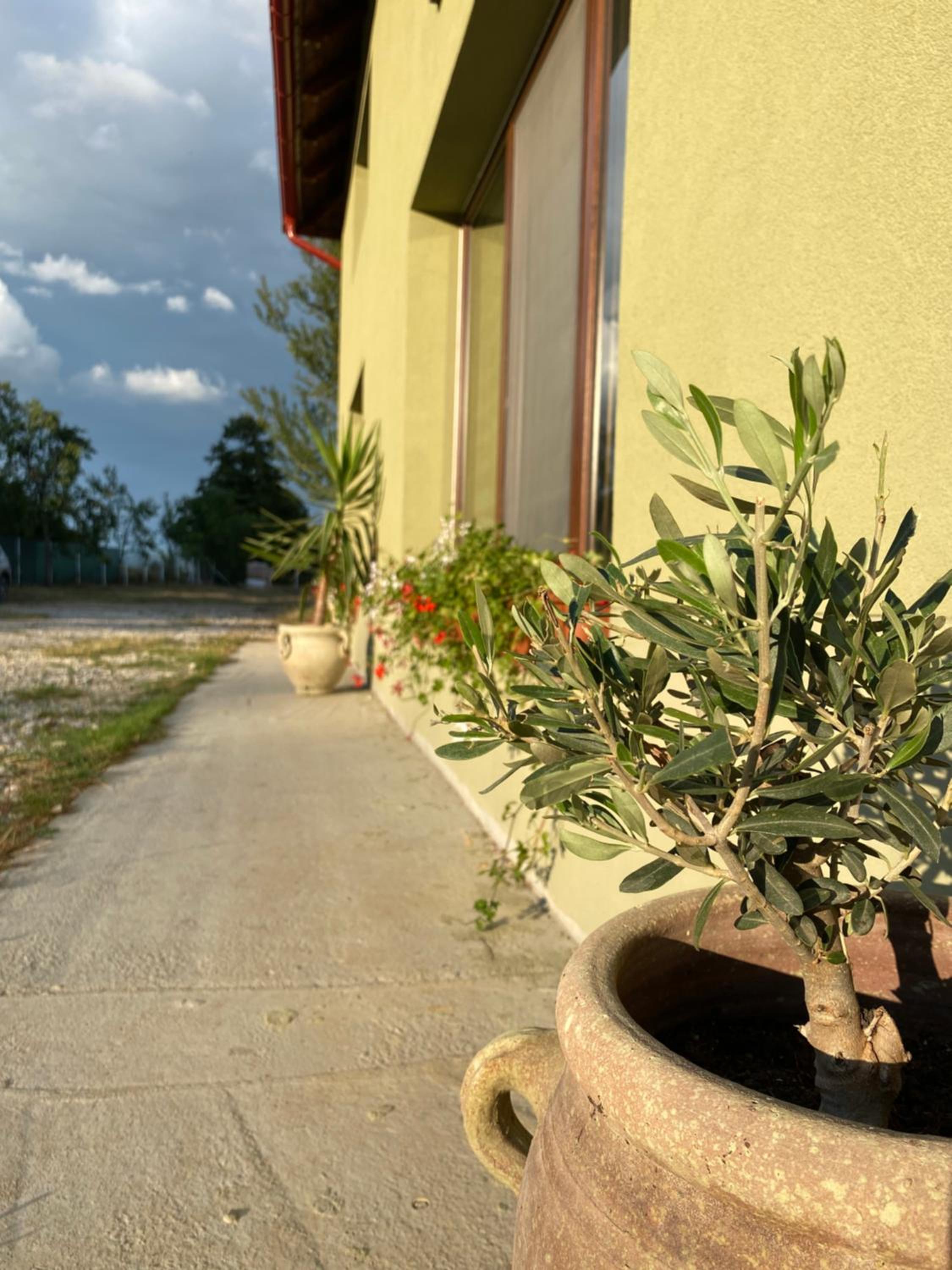 Casa David 13D, photo 38