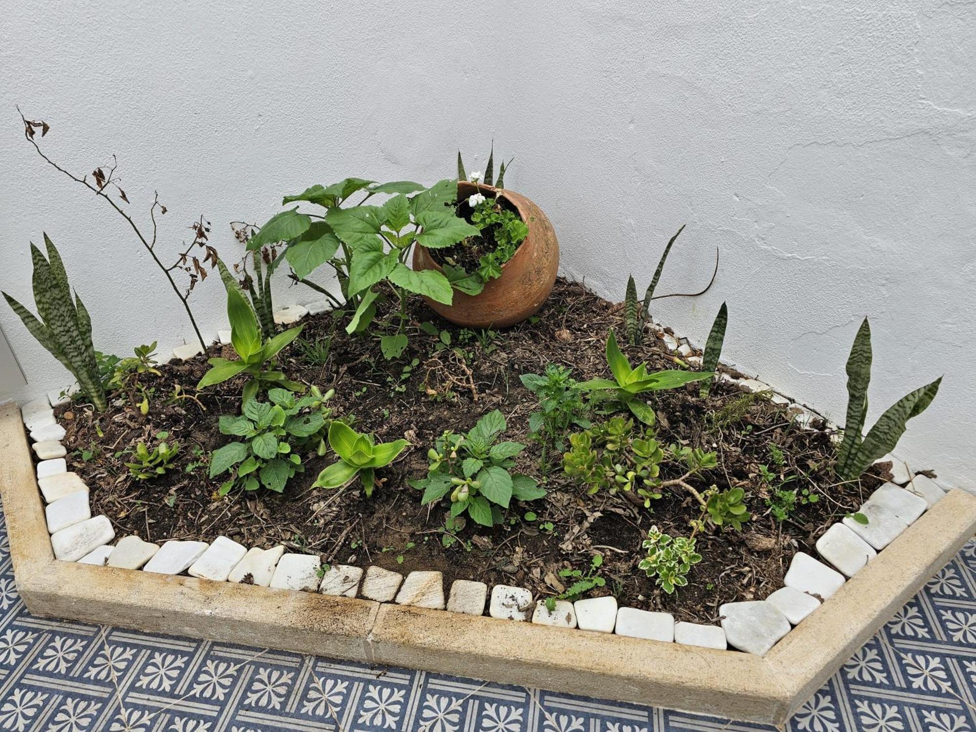 Photo 30