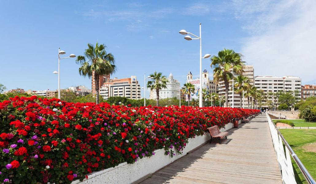 Apartamento Plaza Palmeras
