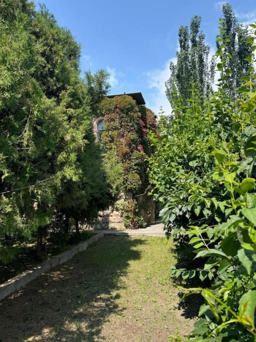 Artanish Guest House