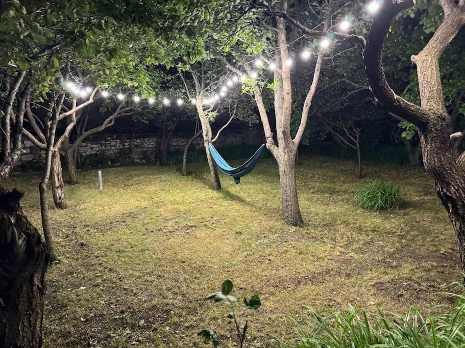 Artanish Guest House