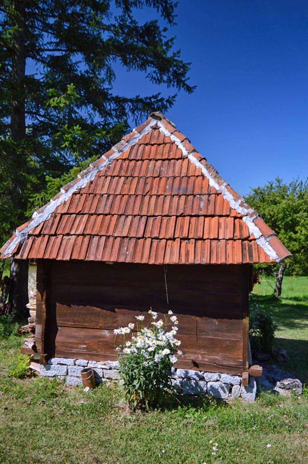 Seosko domacinstvo Gardic view 2