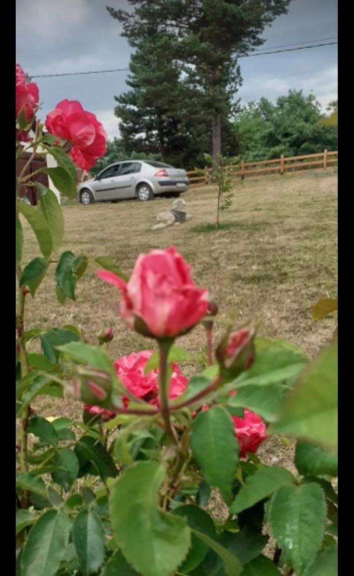 Photo 24