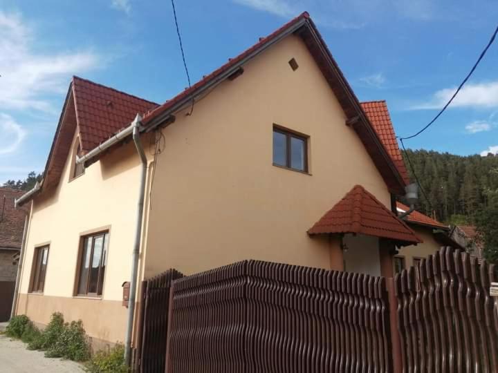 Egyszerű és nagyszerű ház frasinului view 3