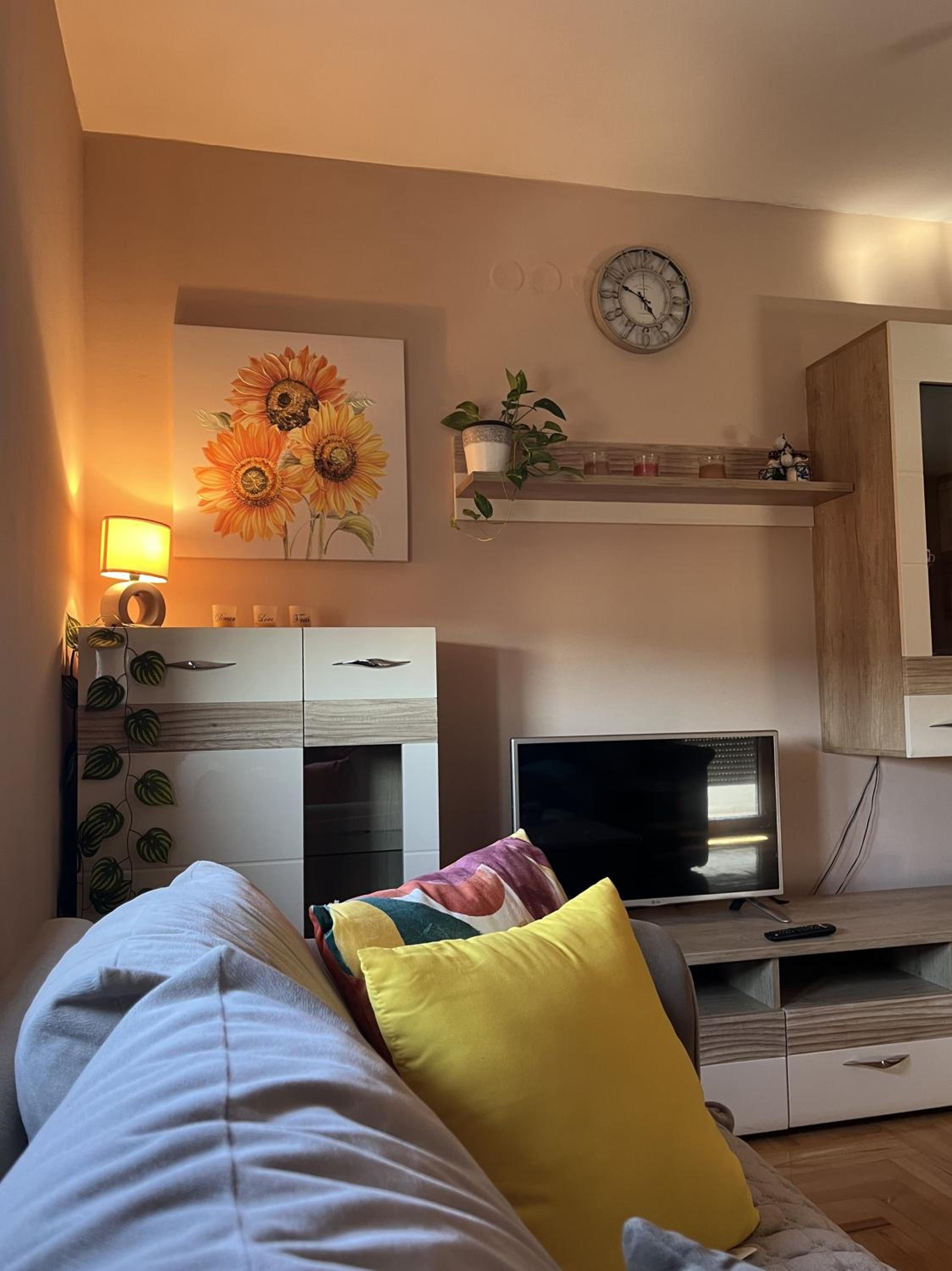 Lily Cozy Apartment view 5