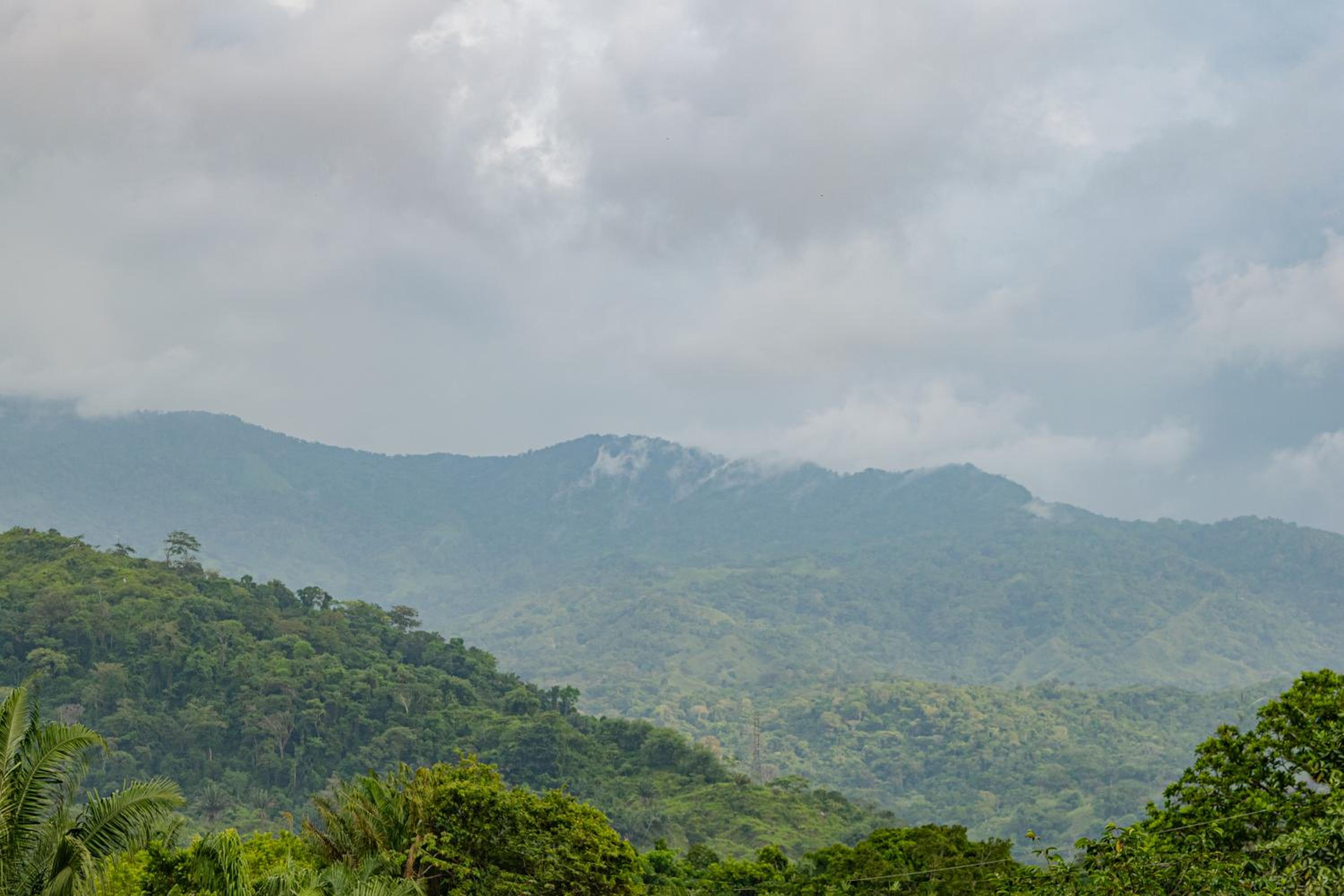 Cabaña Mirador del Bosque, Sector Parque Tayrona