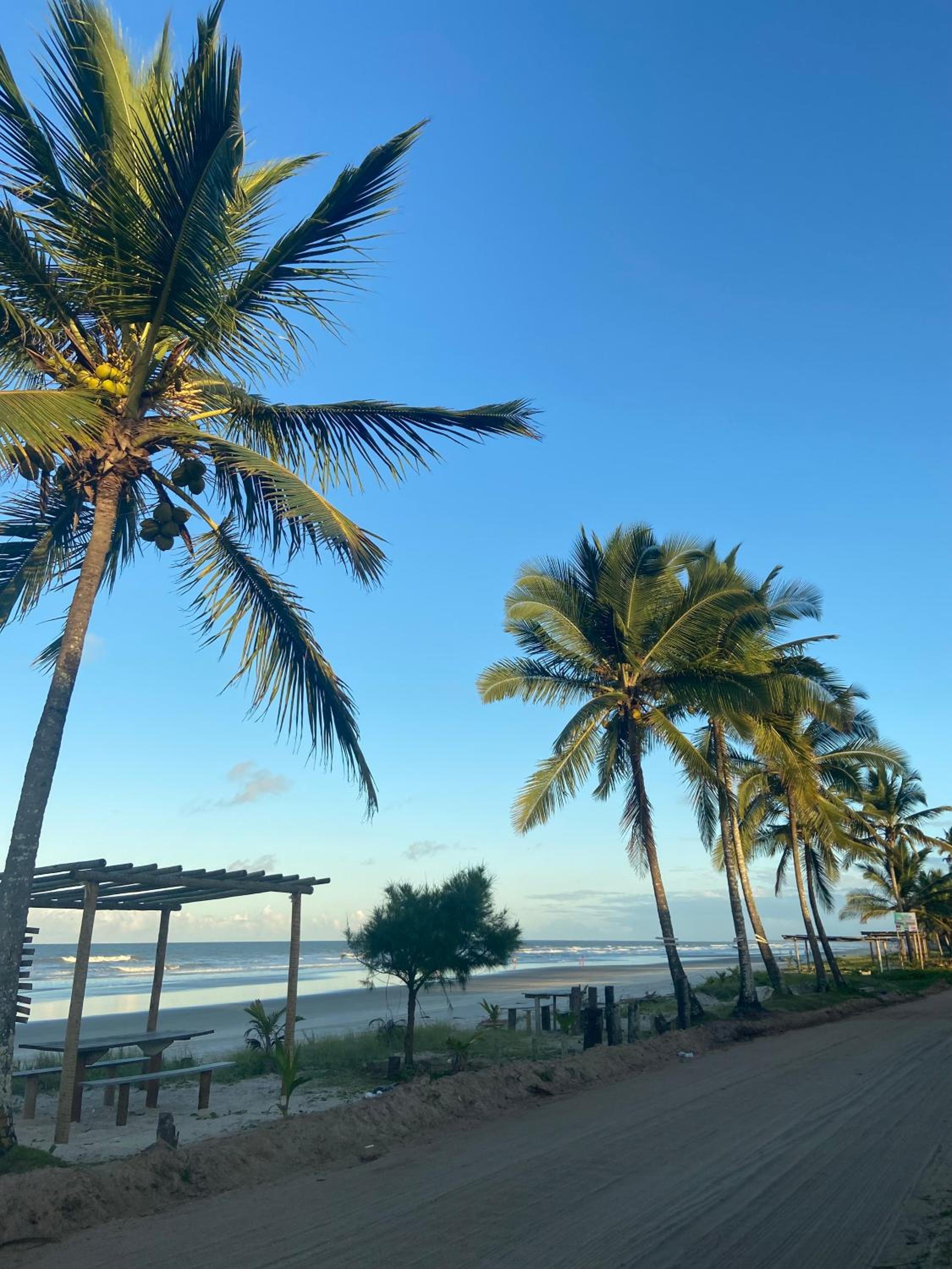 VIVA MAR - casa, um refúgio em frente ao mar!