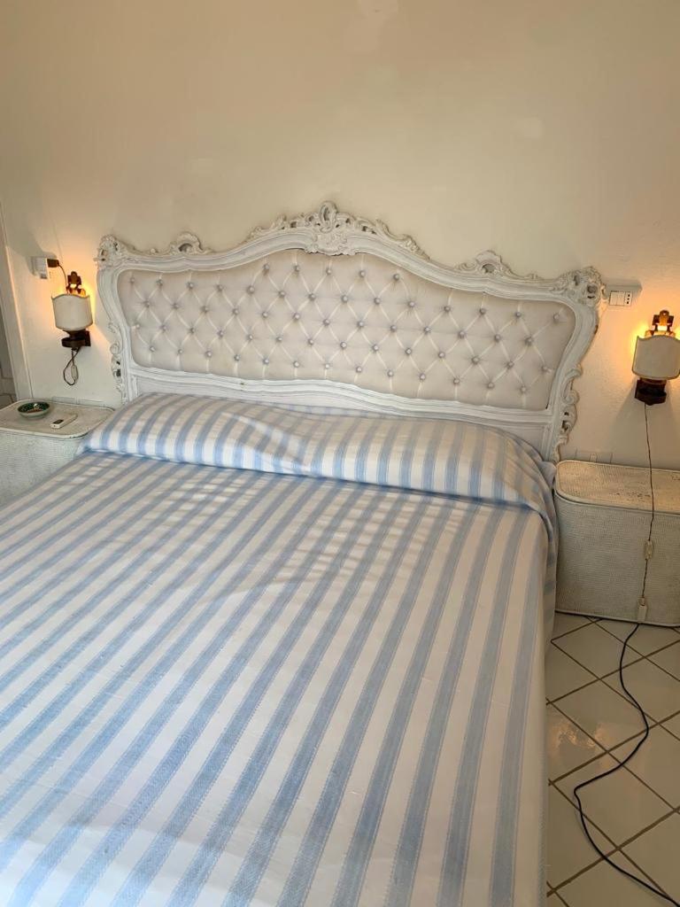 Le agavi en Maratea