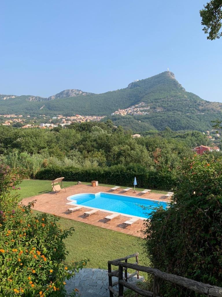 Le agavi en Maratea