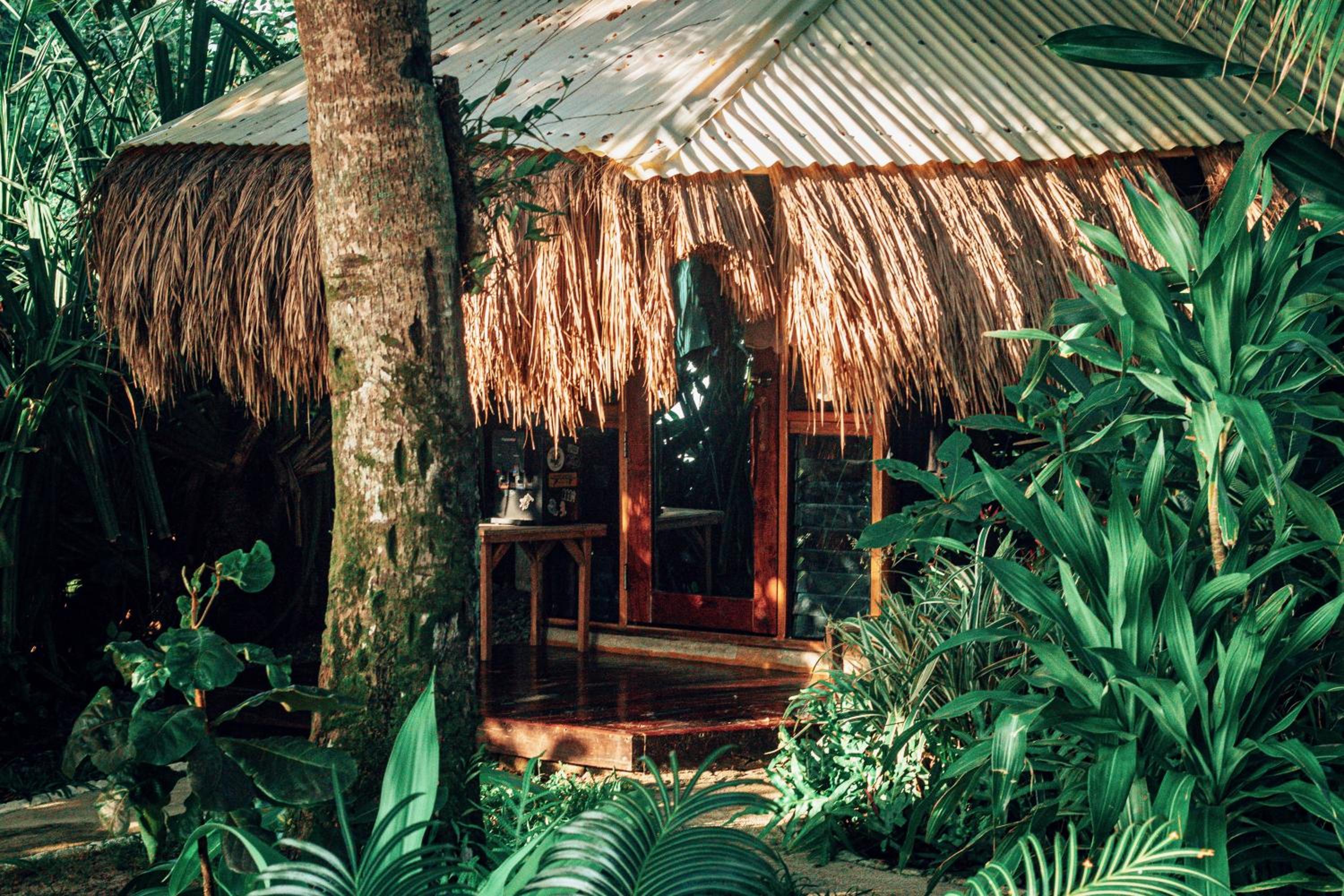 Beachfront Private Bungalow view 4