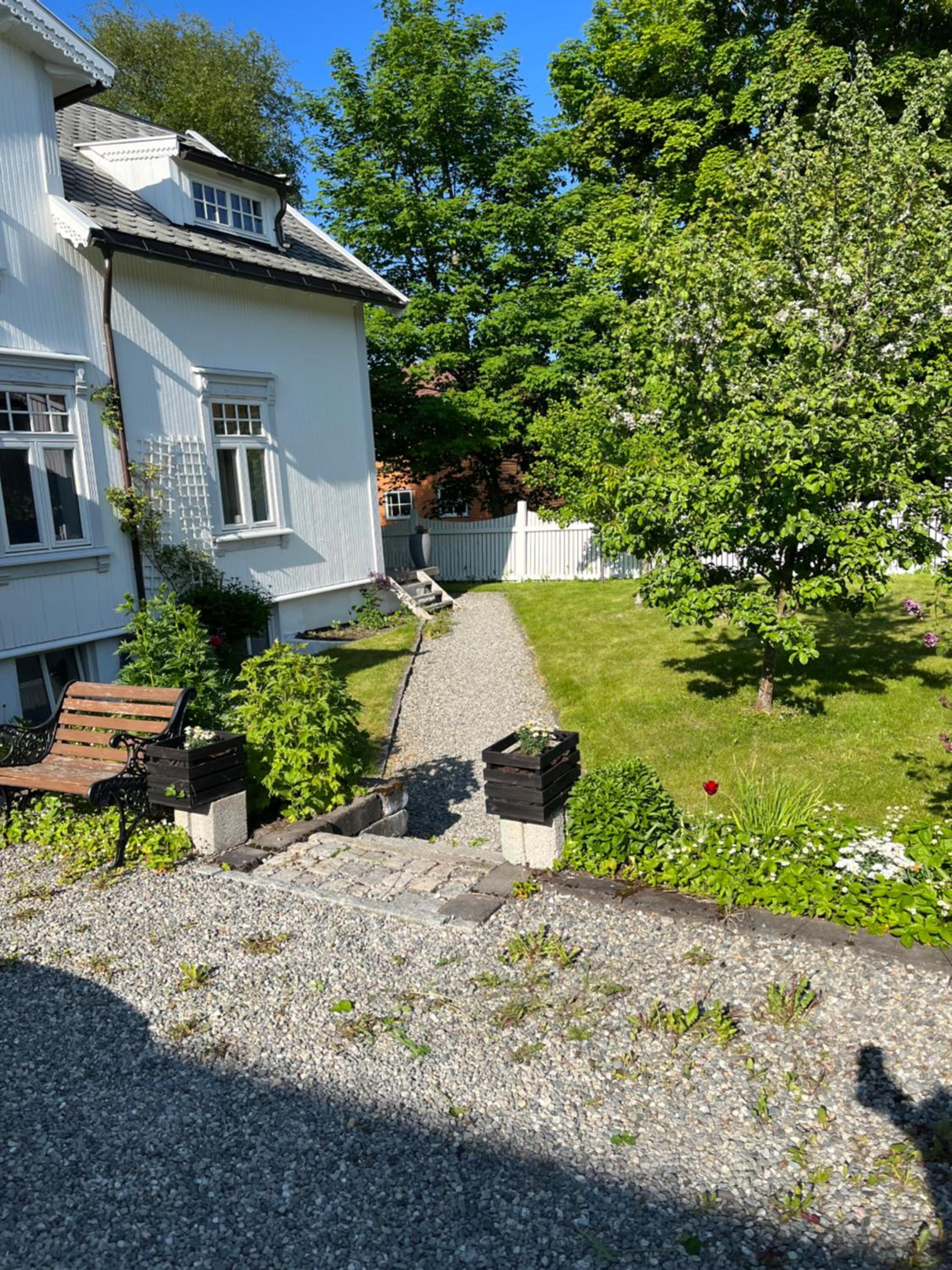 Photo 8