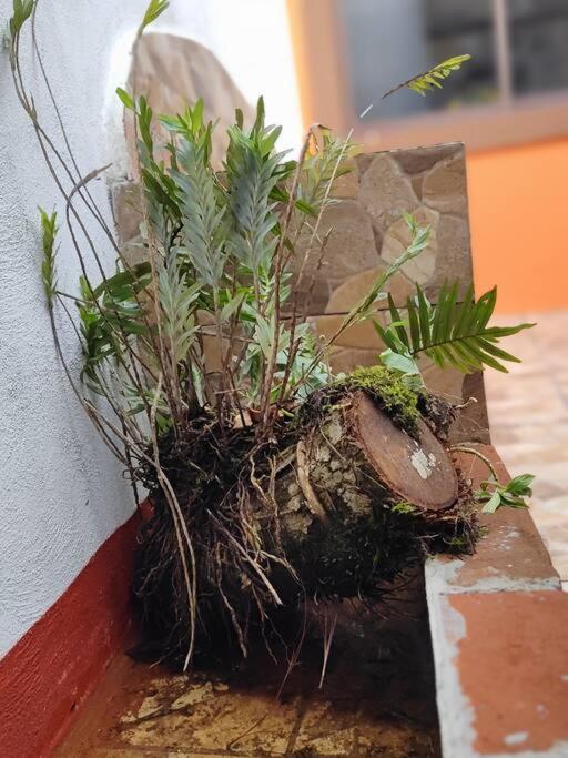 La casita de mamá