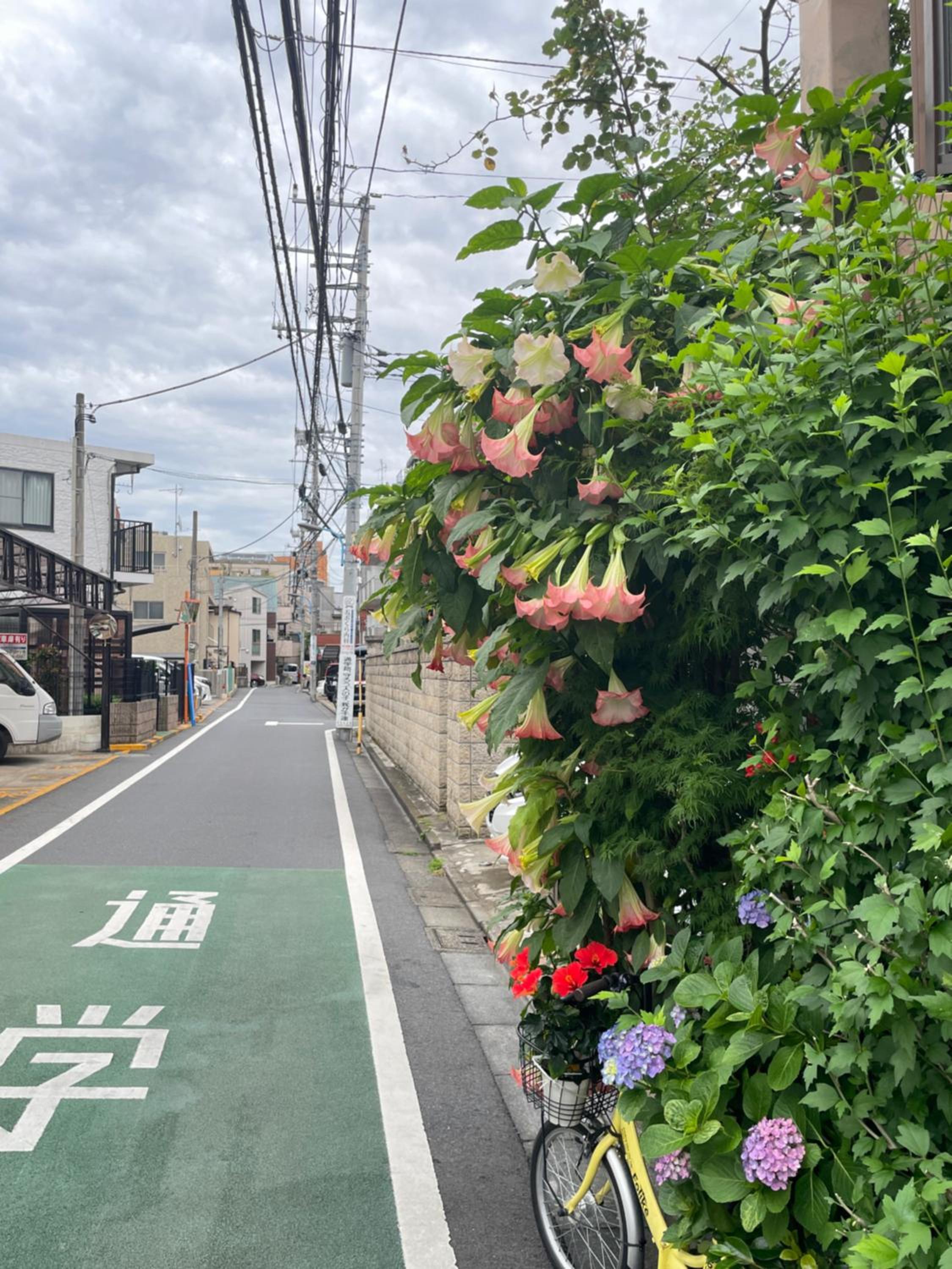 新宿庭院の屋-Shinjuku Garden Home -28 square meters king size bed garden room105