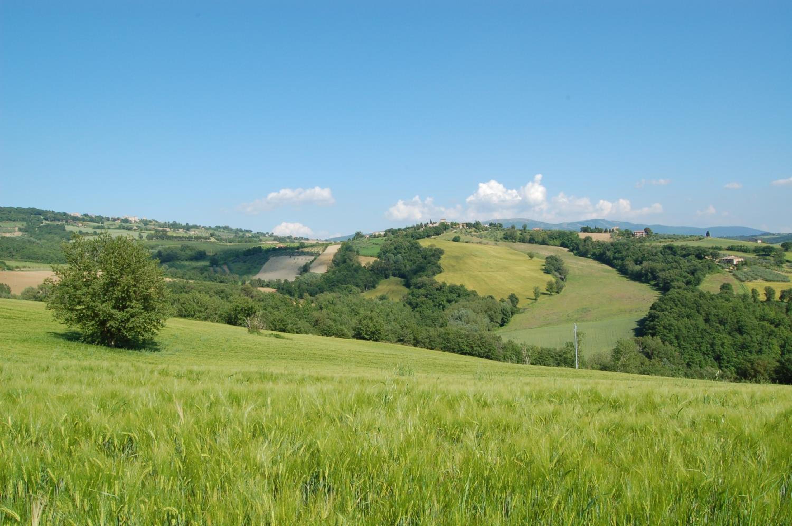 Agriturismo Casale Dei Frontini