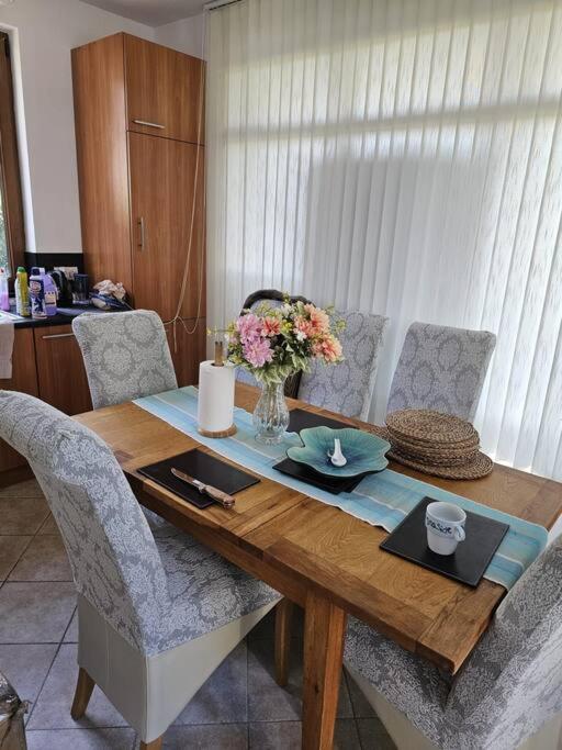 Beautiful and quiet family villa