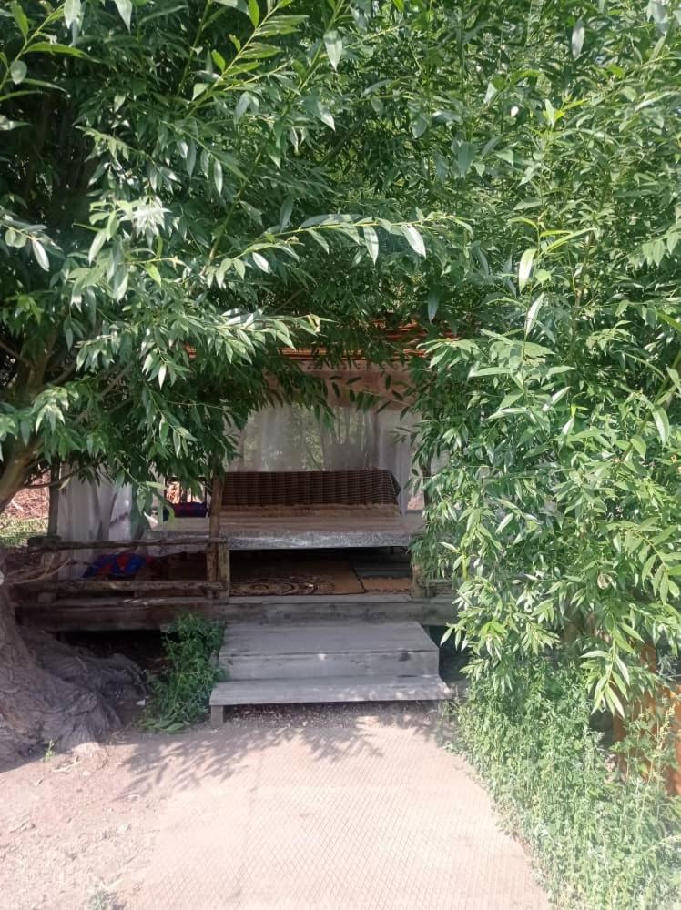 House by Lake Balykchy view 4
