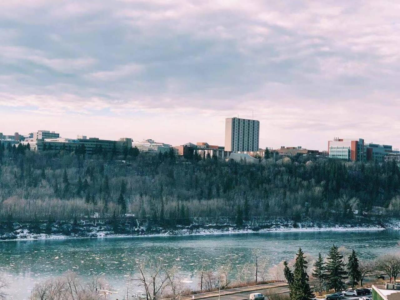 Cozy 1 Bedroom Rental with Den free parking Close to University