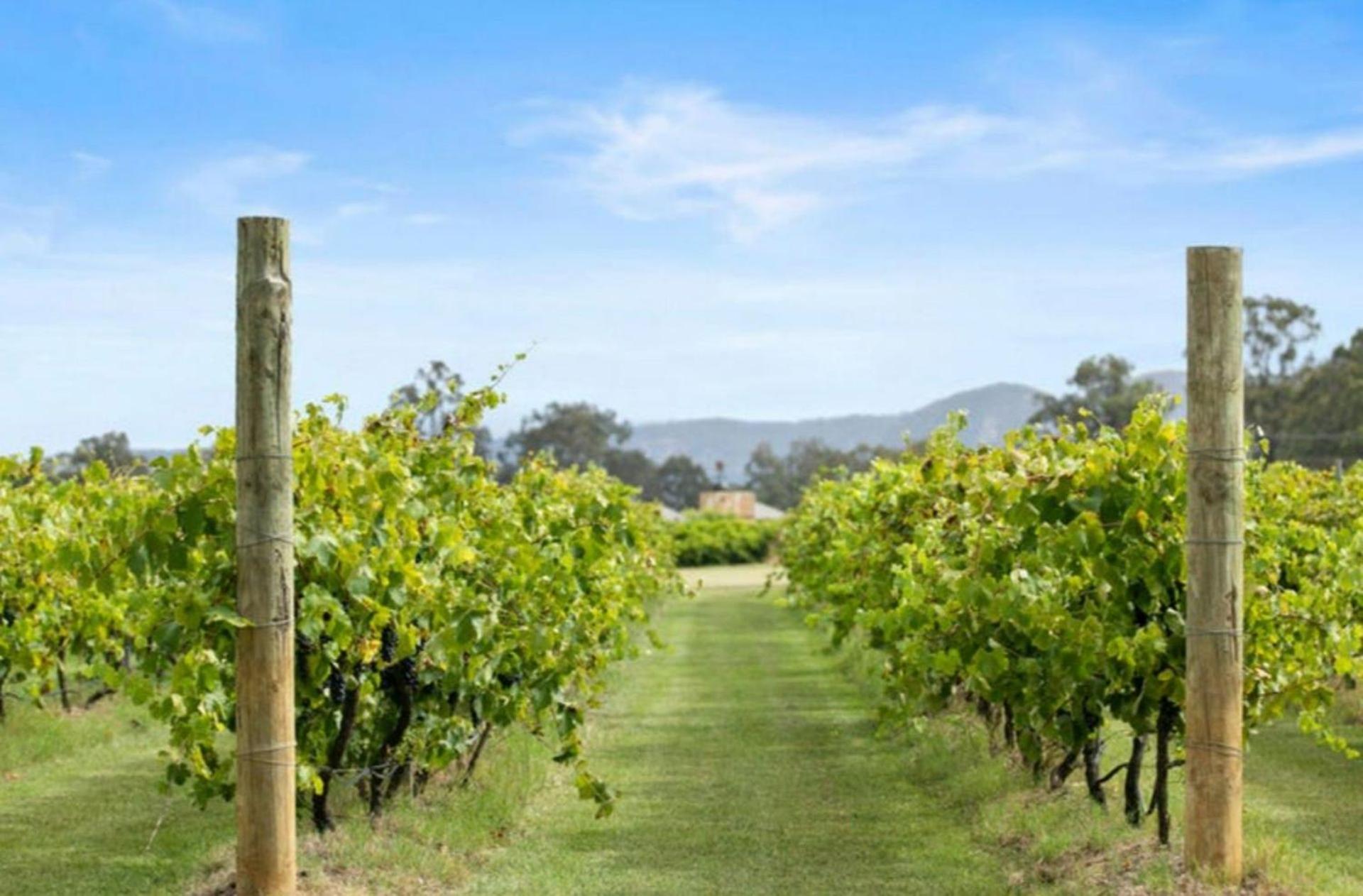 Pokolbin Glamping - Sleeps 2. Eco-Friendly Single Glamping Tents