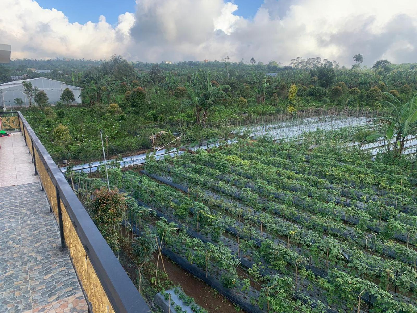 Homestay NGREMBOKO SOYO OMBO view 5