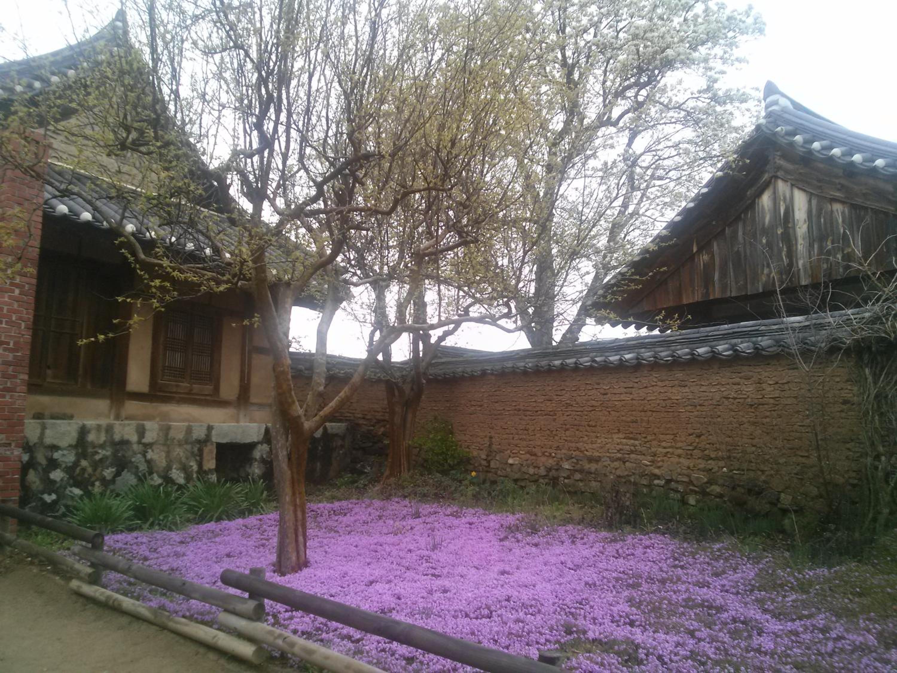 Hahoe Chunghyodang