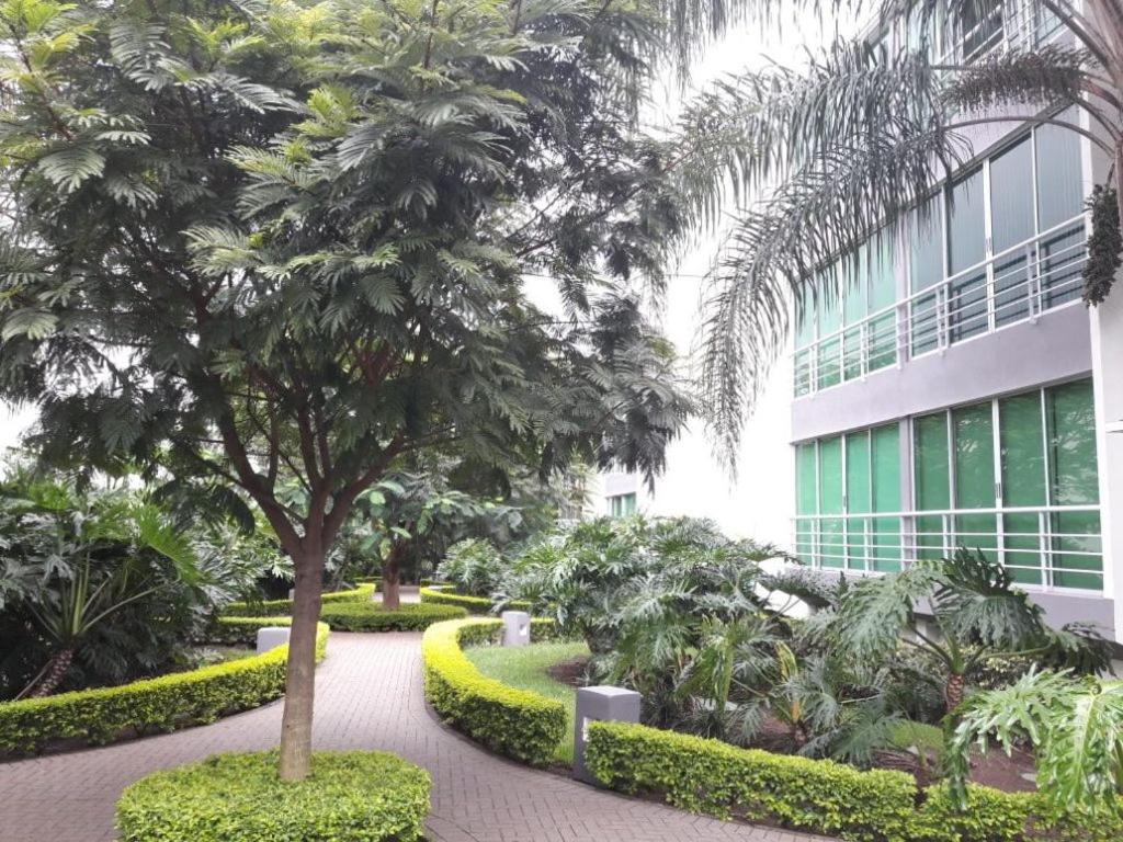 Santa Ana FLAT