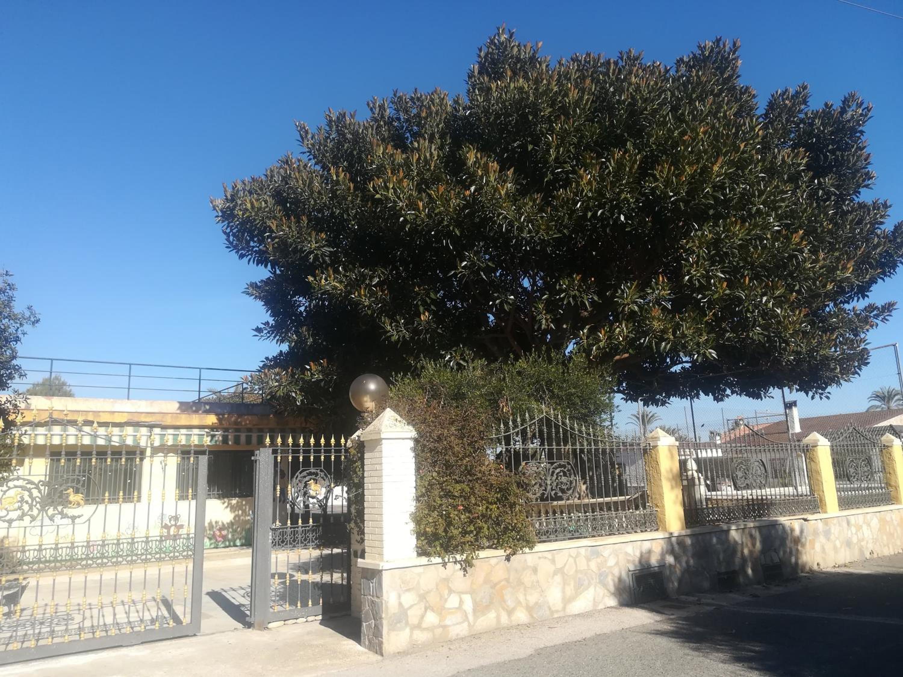 building