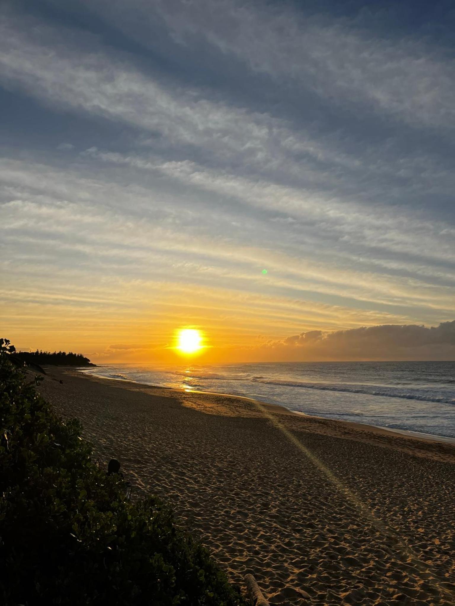 Shelly Beach Holiday Park