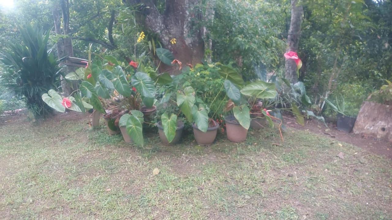 Entire house in kandy view 3