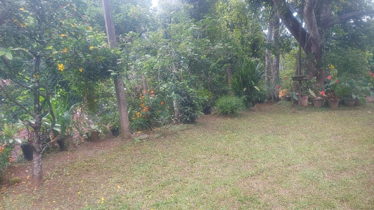 Entire house in kandy view 5