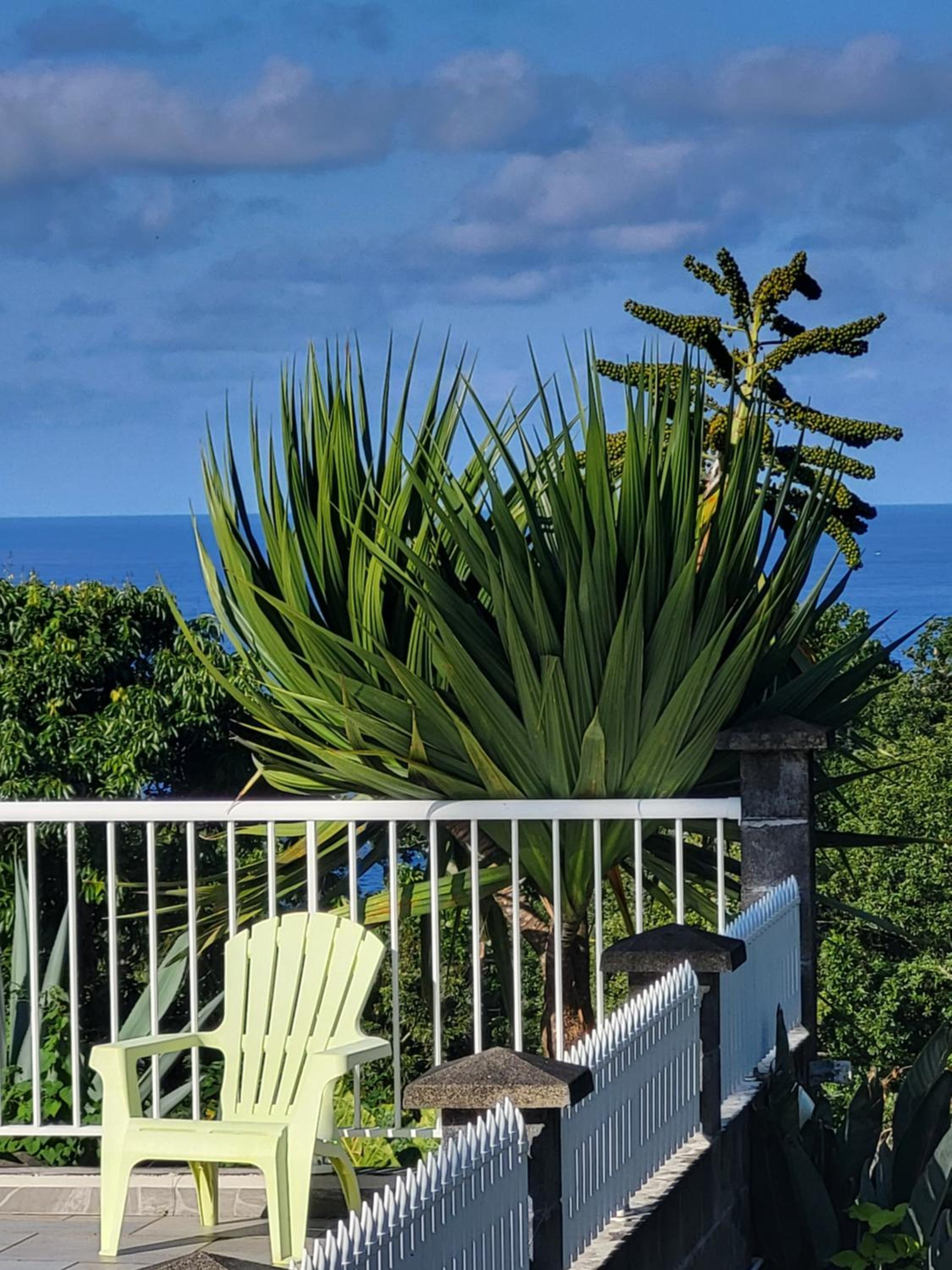 Villa au Cœur des laves view 5