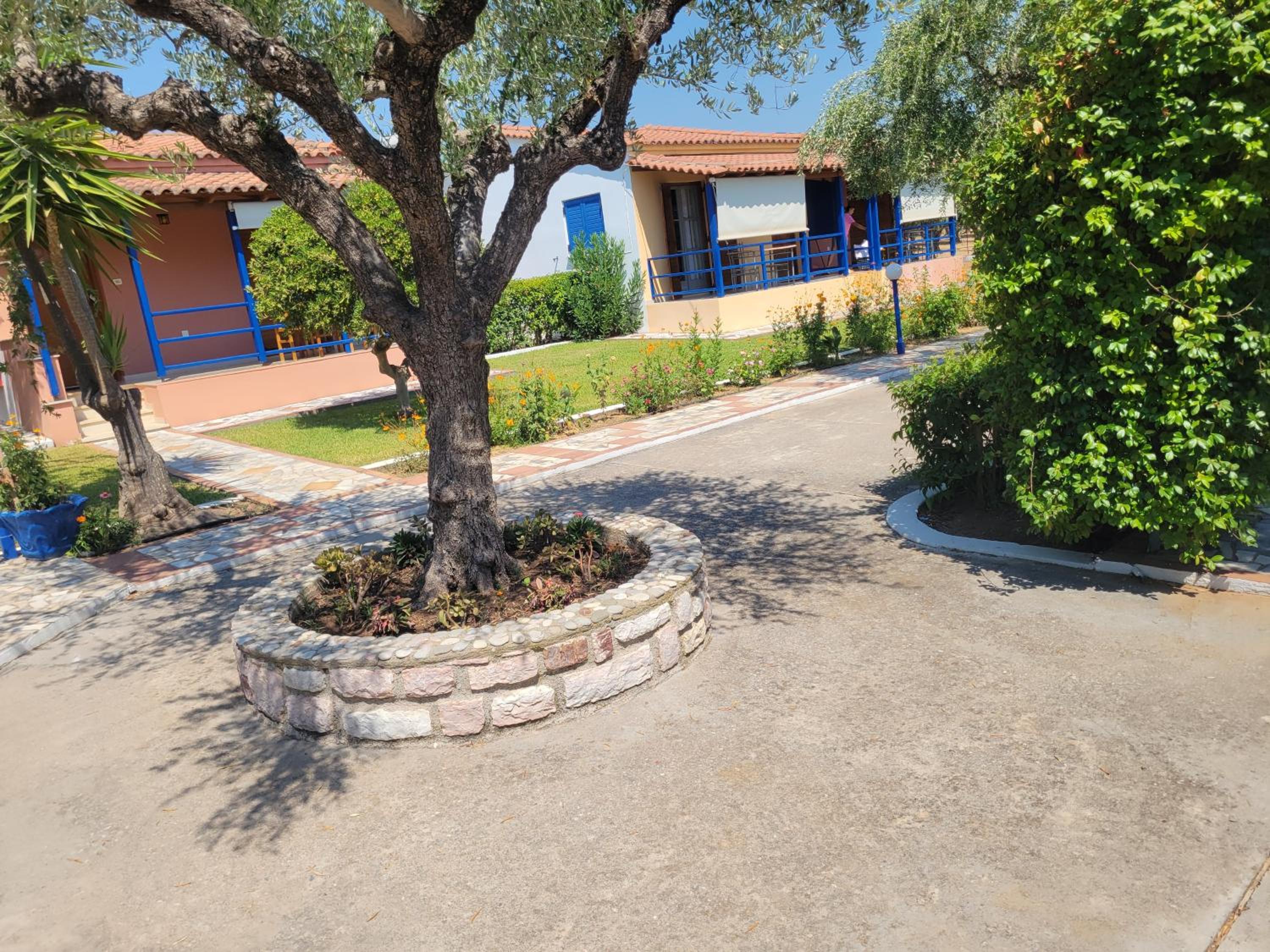 Photo 12
