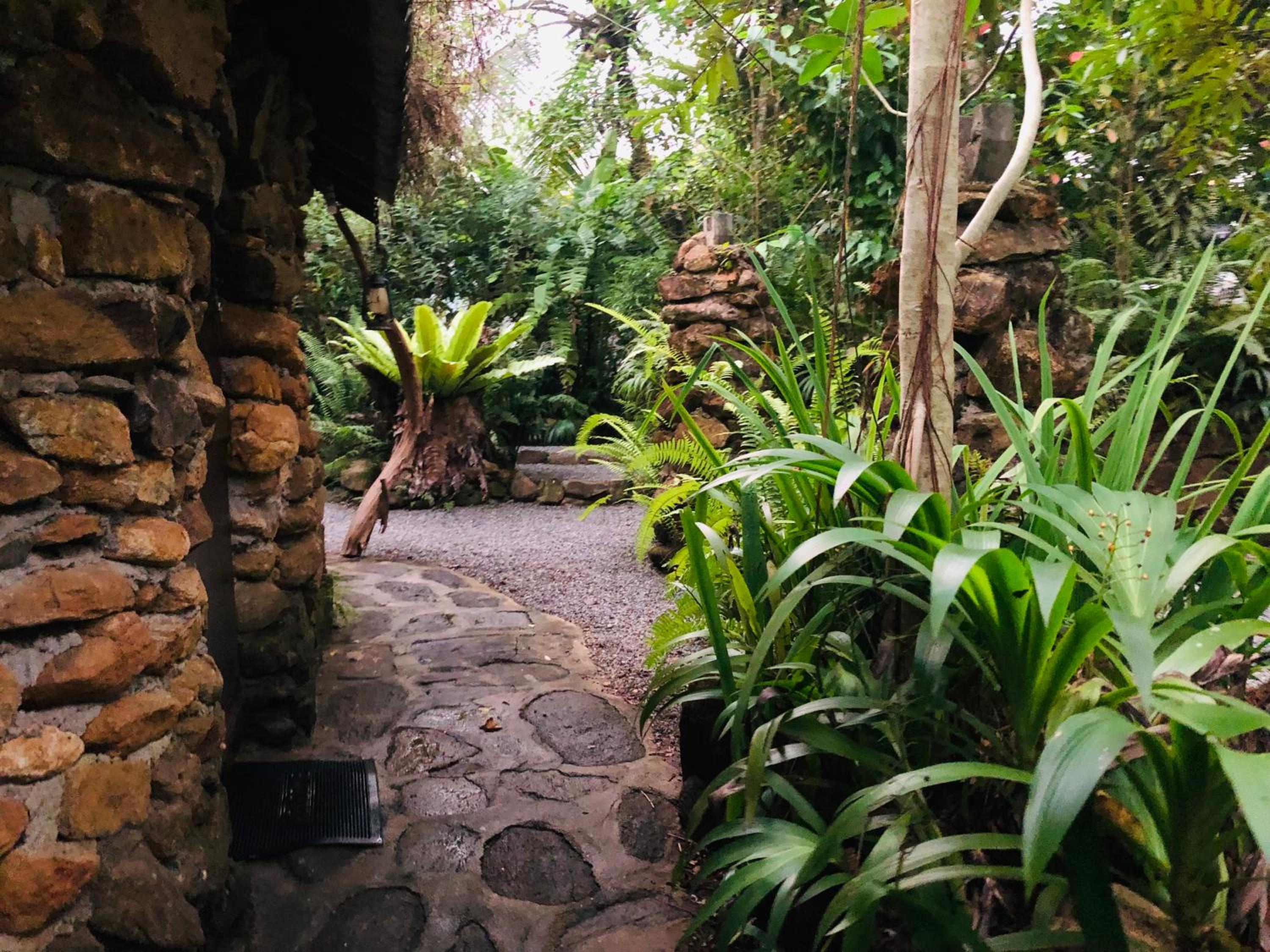 Villa rock by earth house view 2