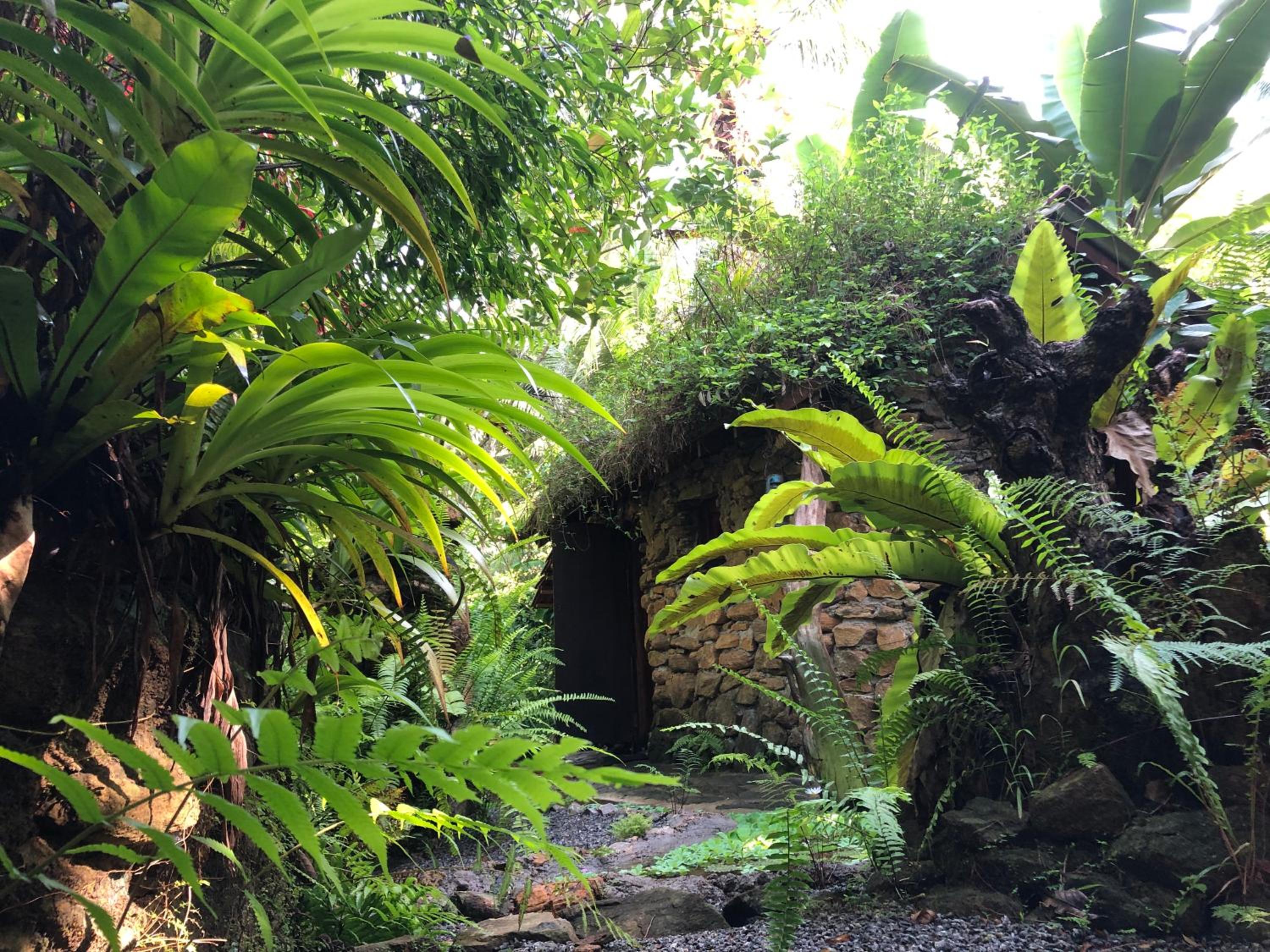 Villa rock by earth house view 4