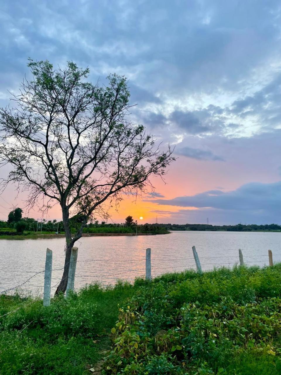 Chavani farmstay and campsite