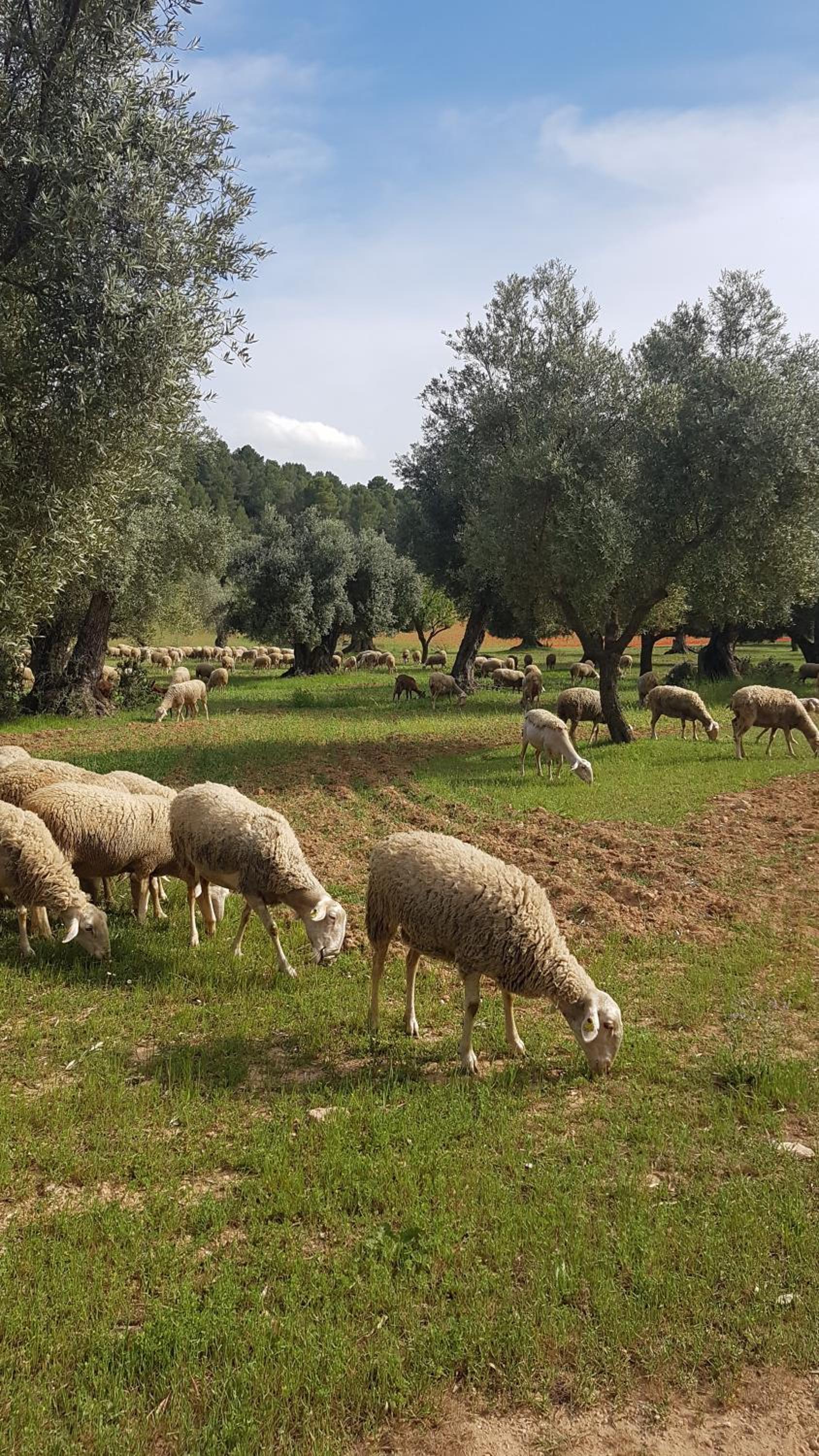Photo 39