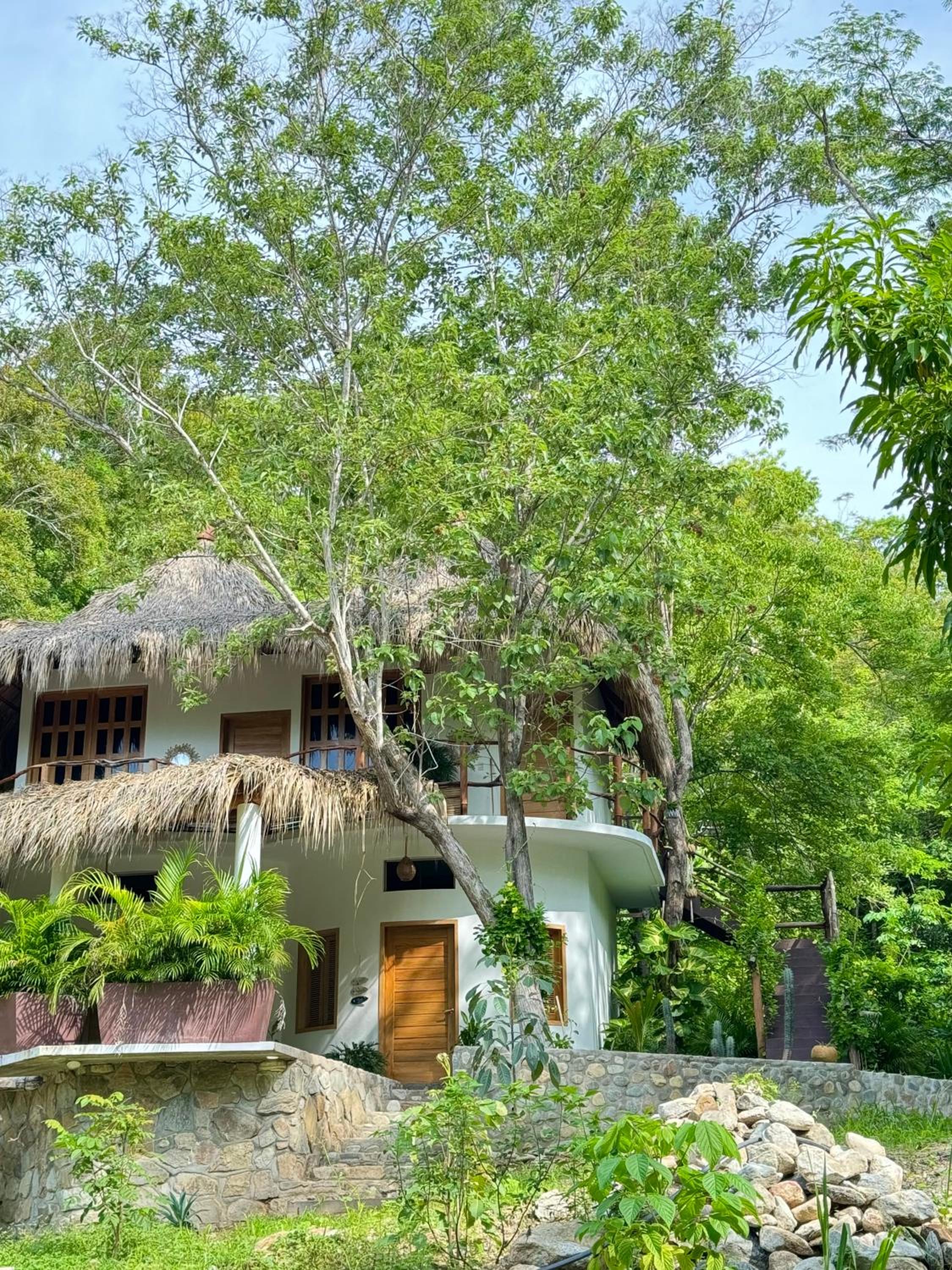 Casa Lucy Oaxaca view 4