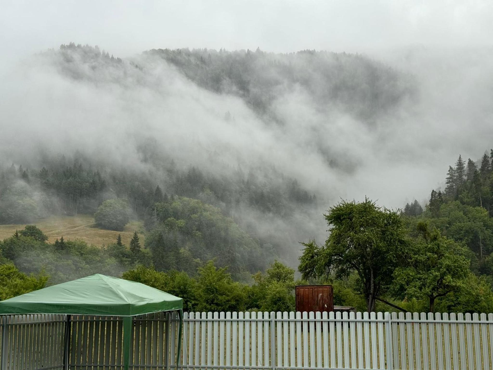 Buddy House Borjomi