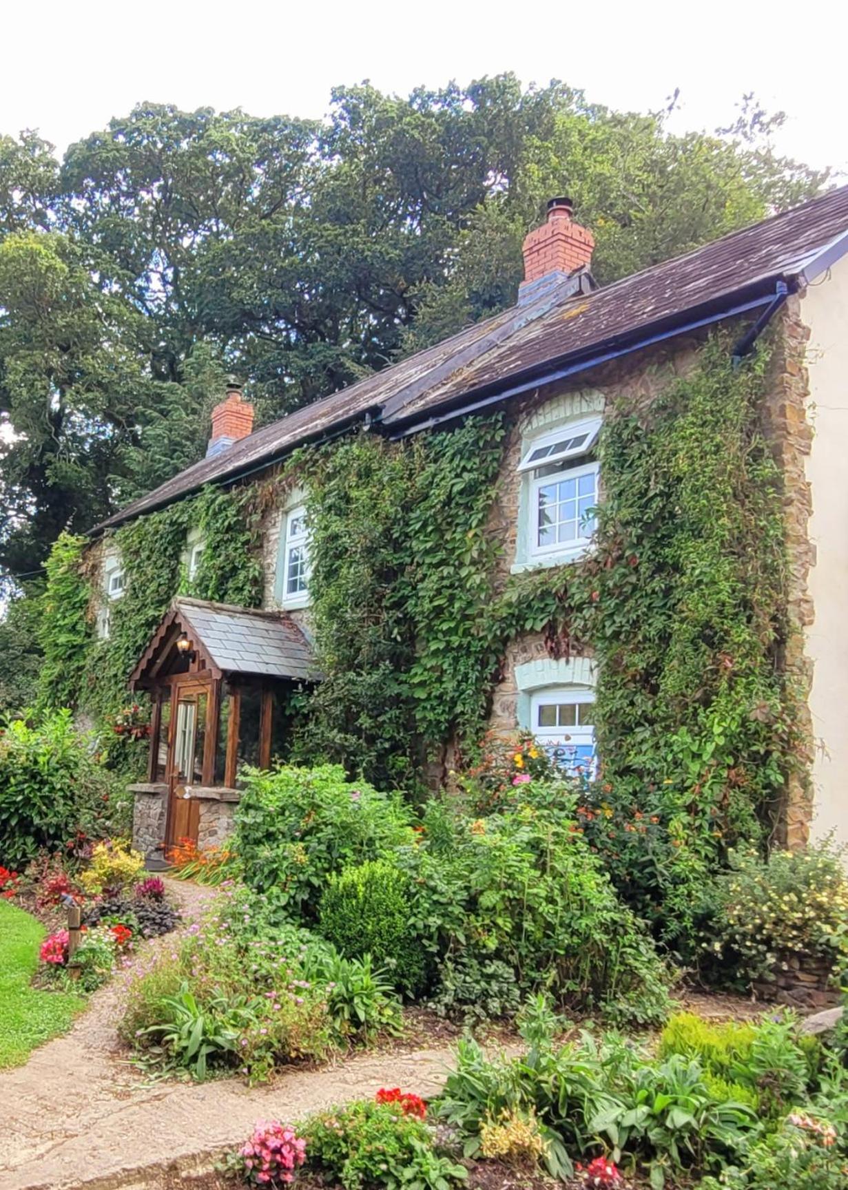 Kingsley Cottage Bed & Breakfast view 2