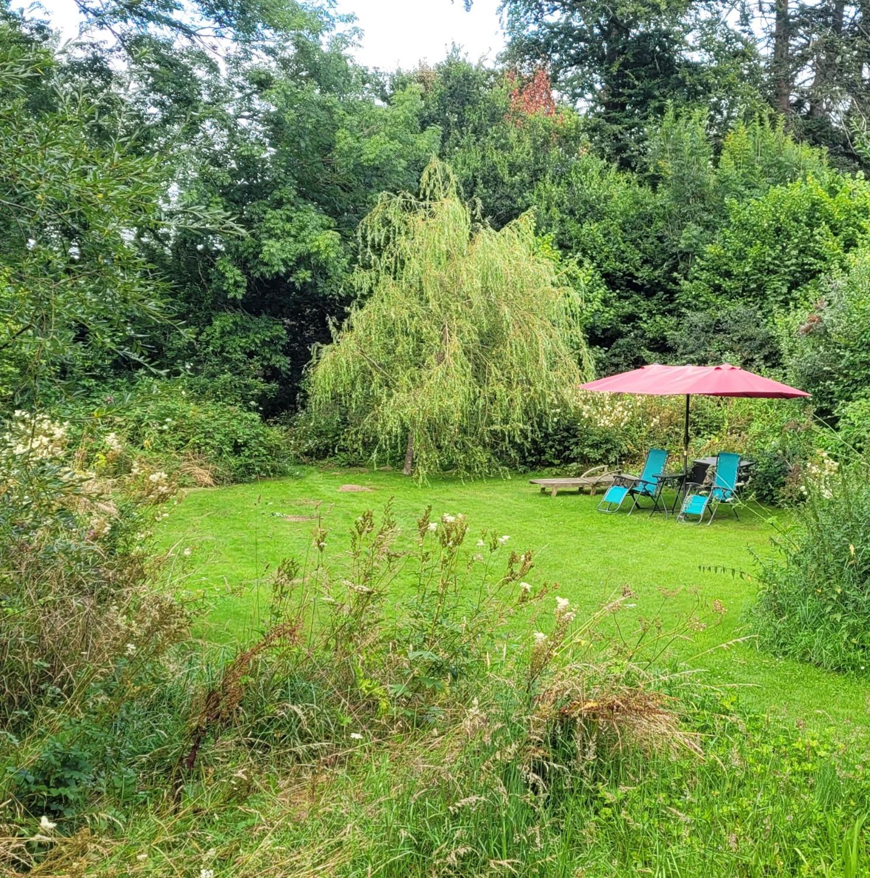 Photo 38