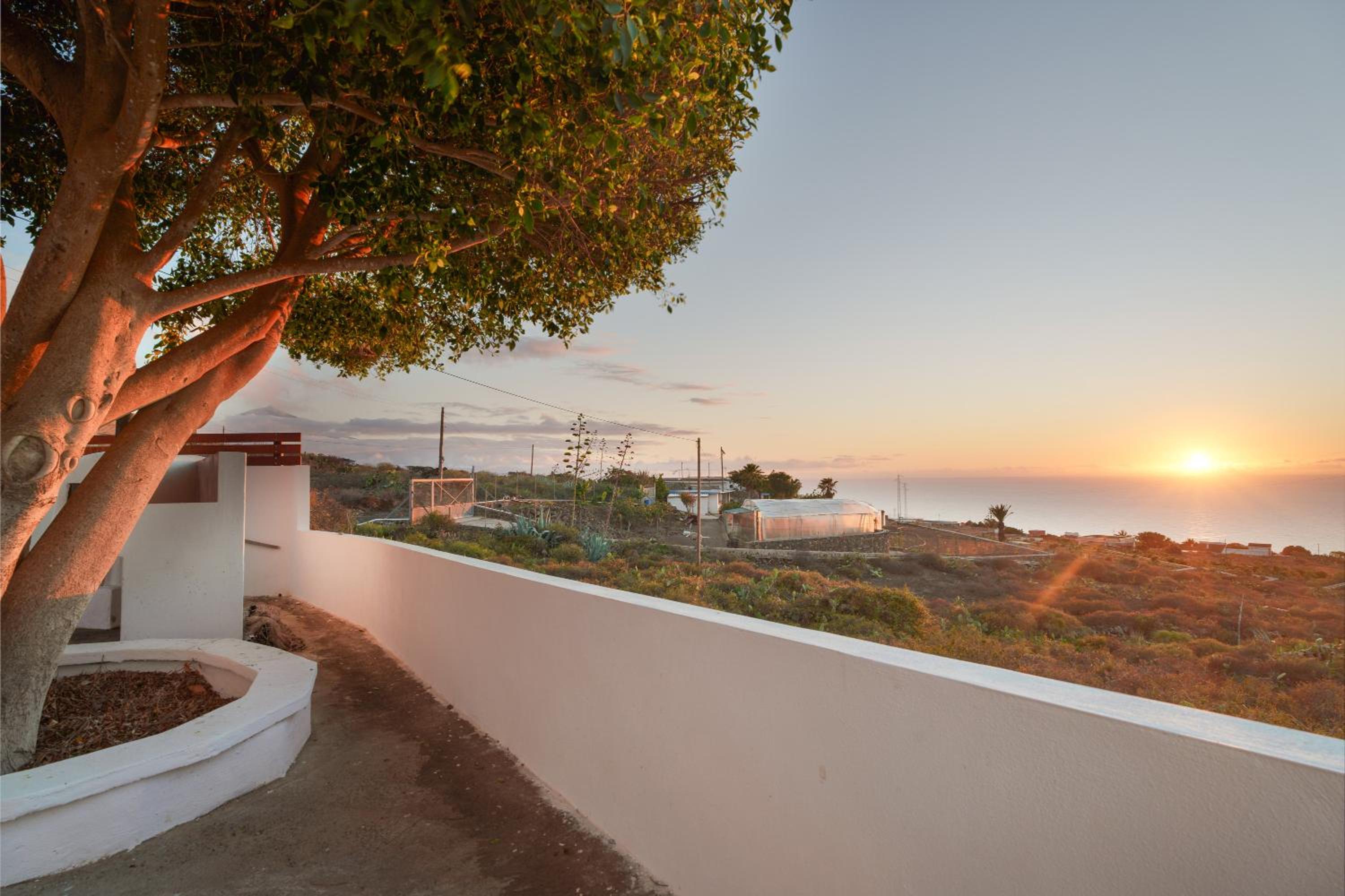 Finca Pisaverde