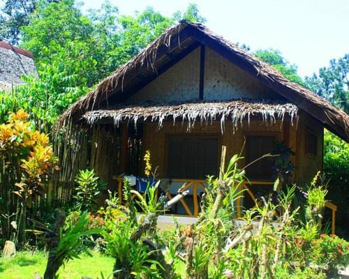 Nokpai Konyak view 4